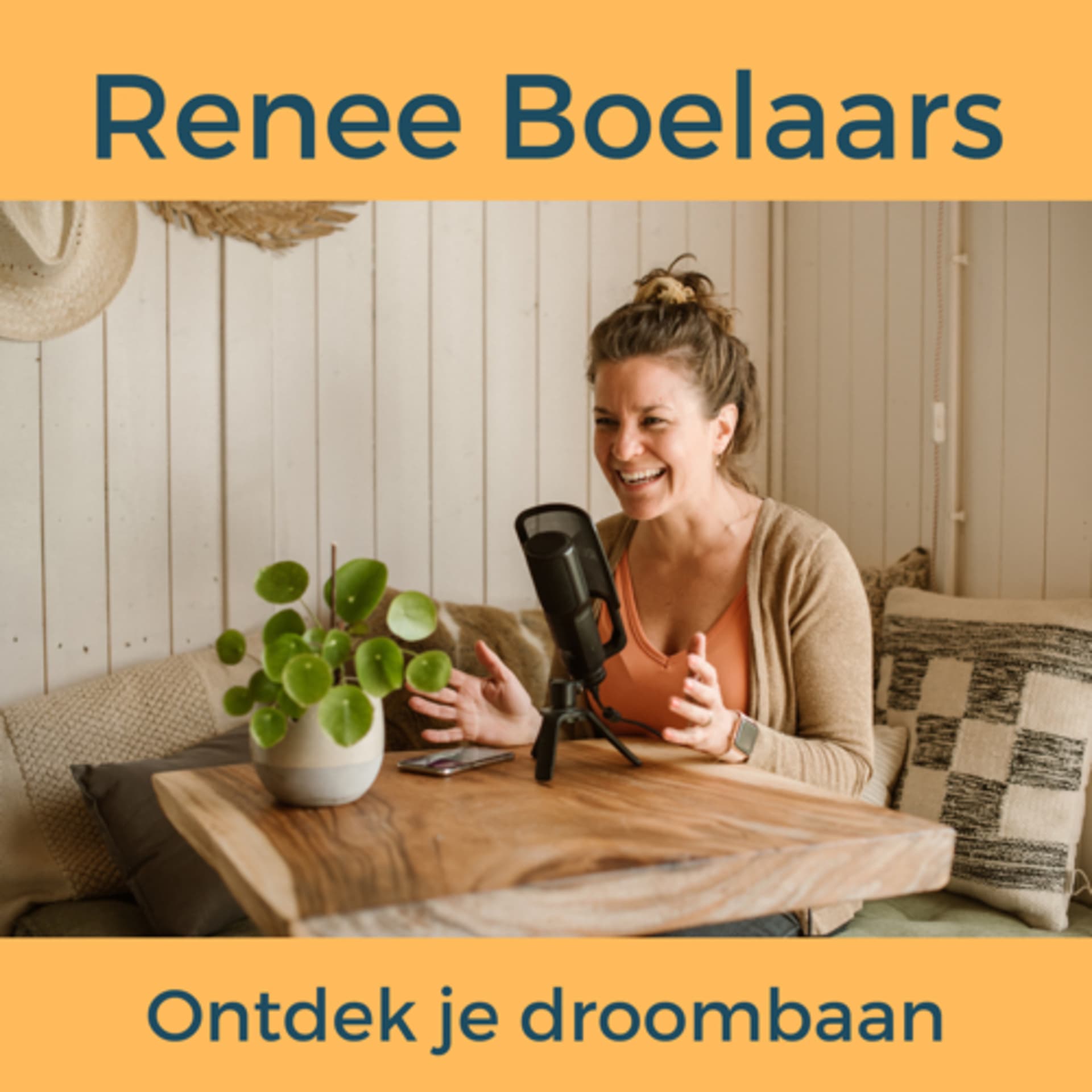 Renee Boelaars - Ontdek je droombaan - Podcasts
