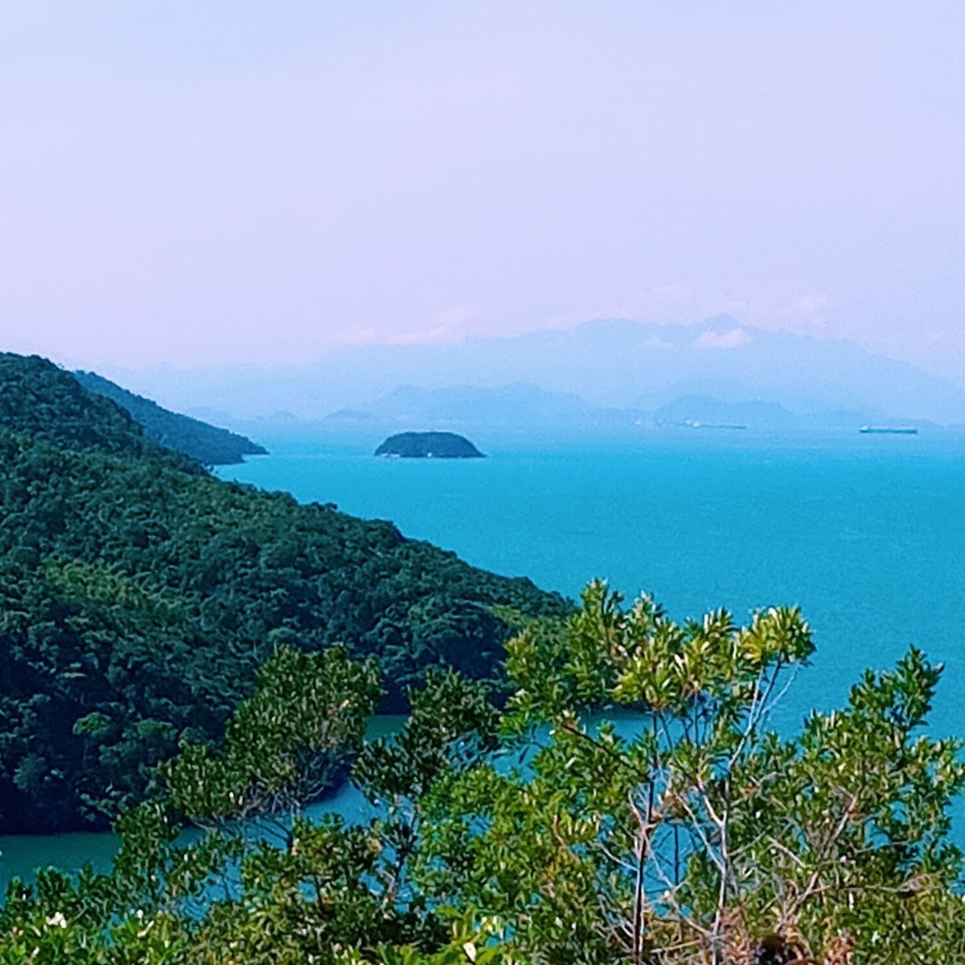 Mata Atlântica - Floresta Tropical/ Atlantic Tropical Forest/ Forêt Tropicale Atlantique - Podcasts