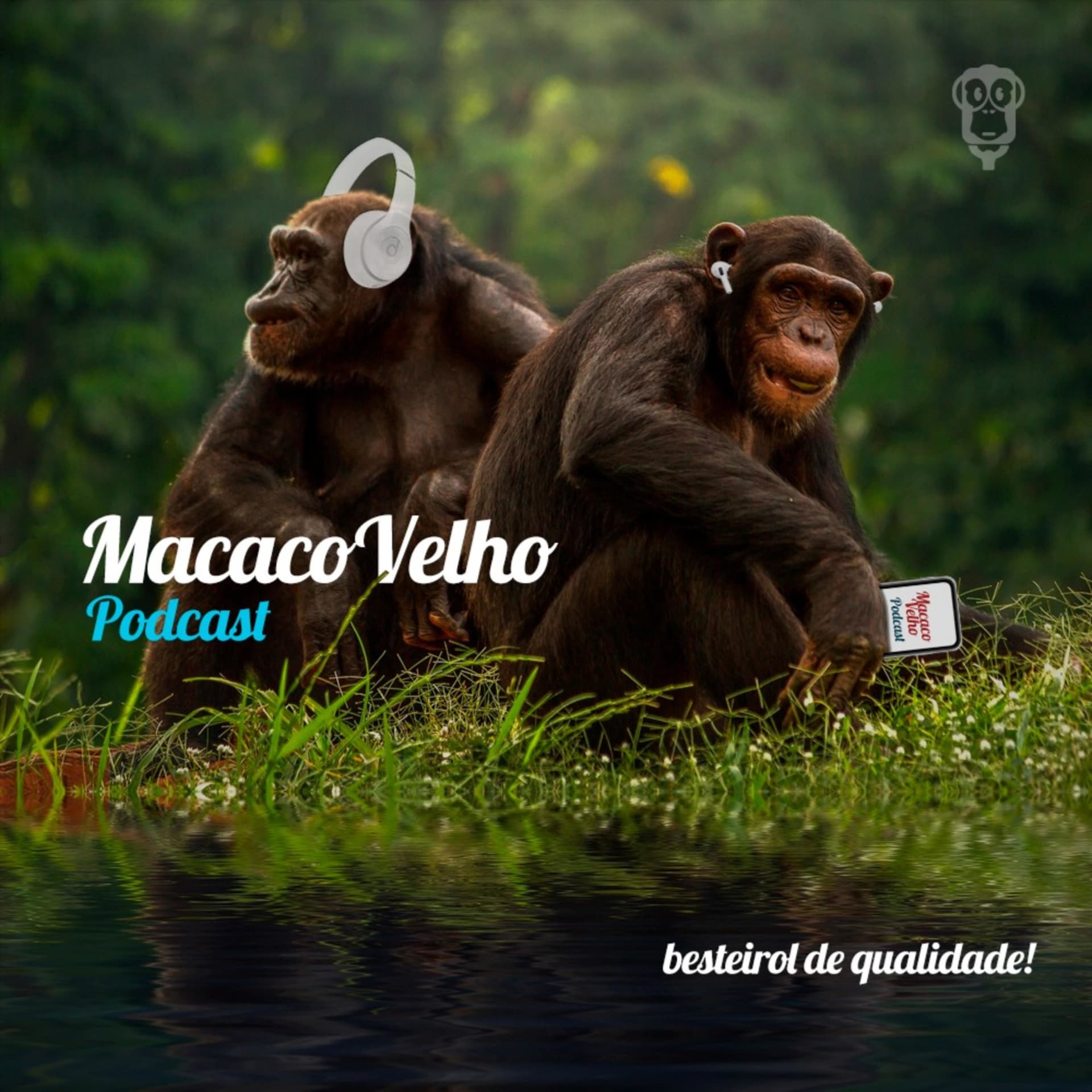 Macaco Velho! - Podcasts