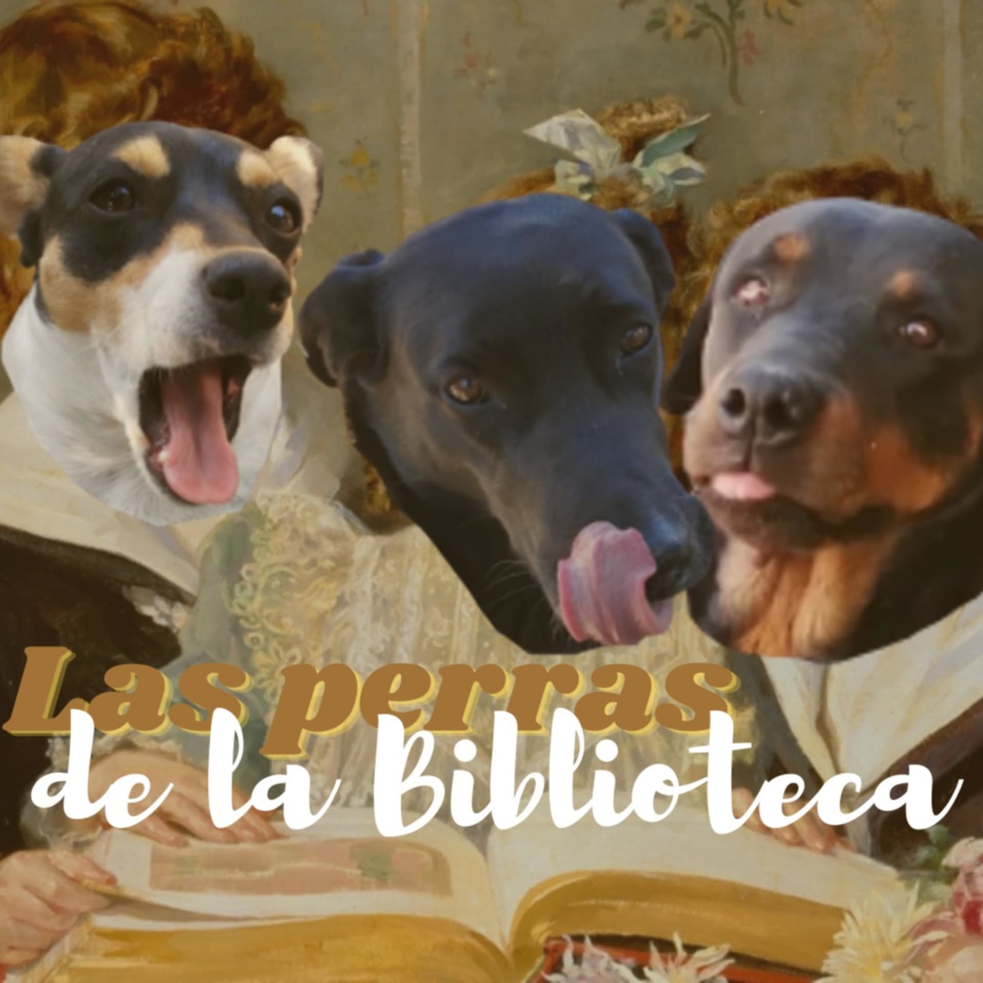 Las perras de la biblioteca - Podcasts