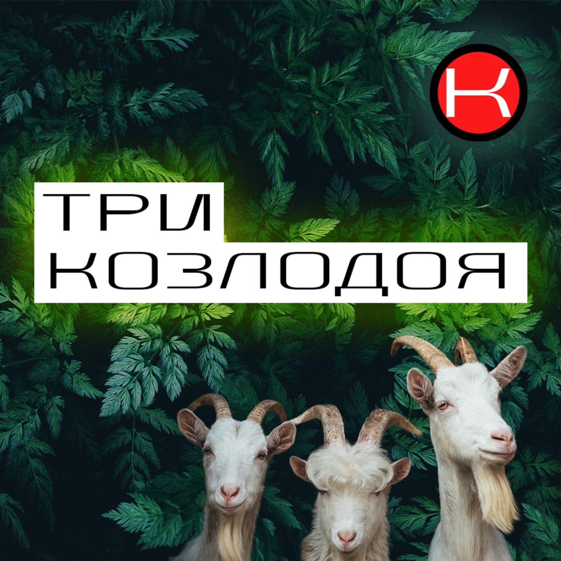 Три козлодоя - Podcasts