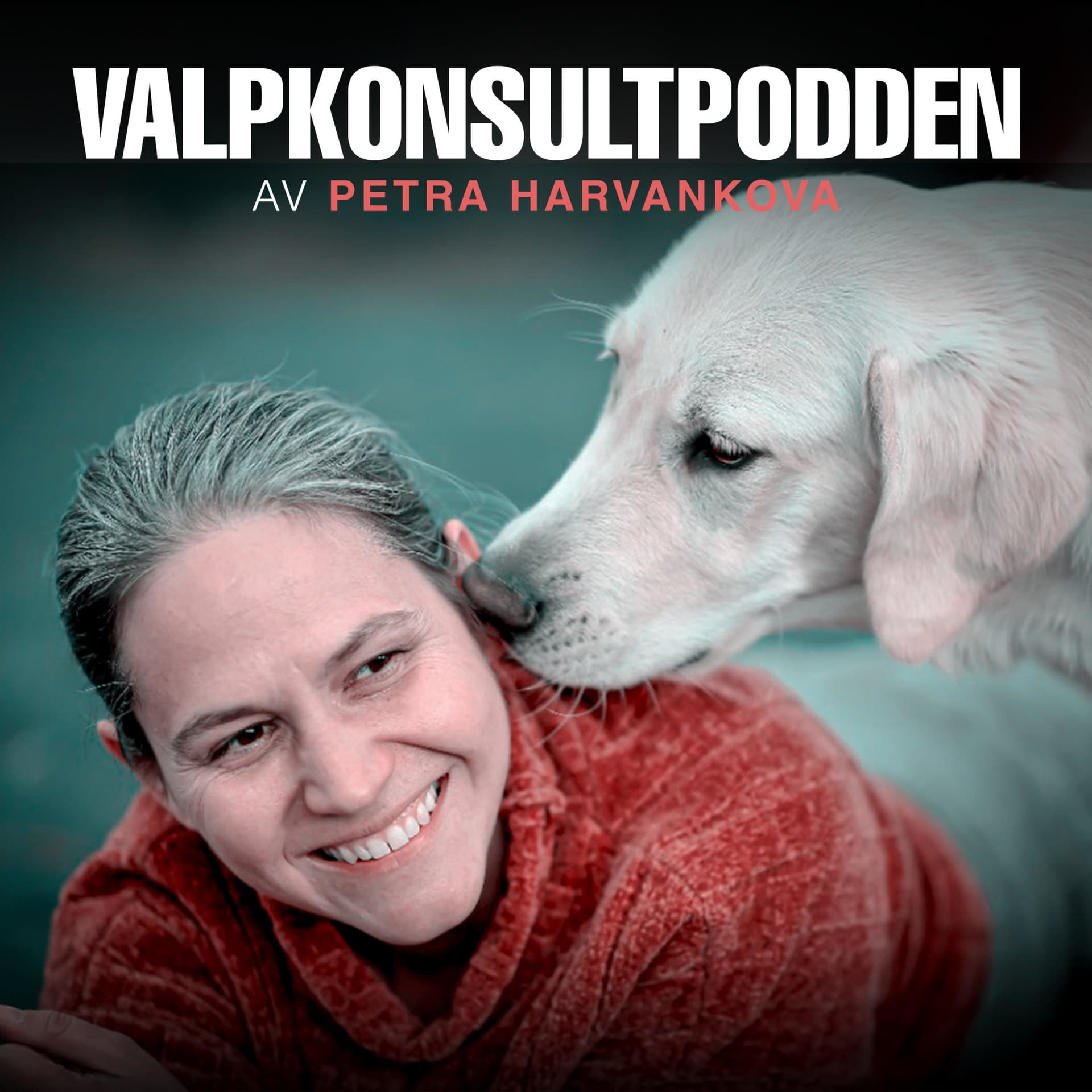Valpkonsultpodden - Podcasts