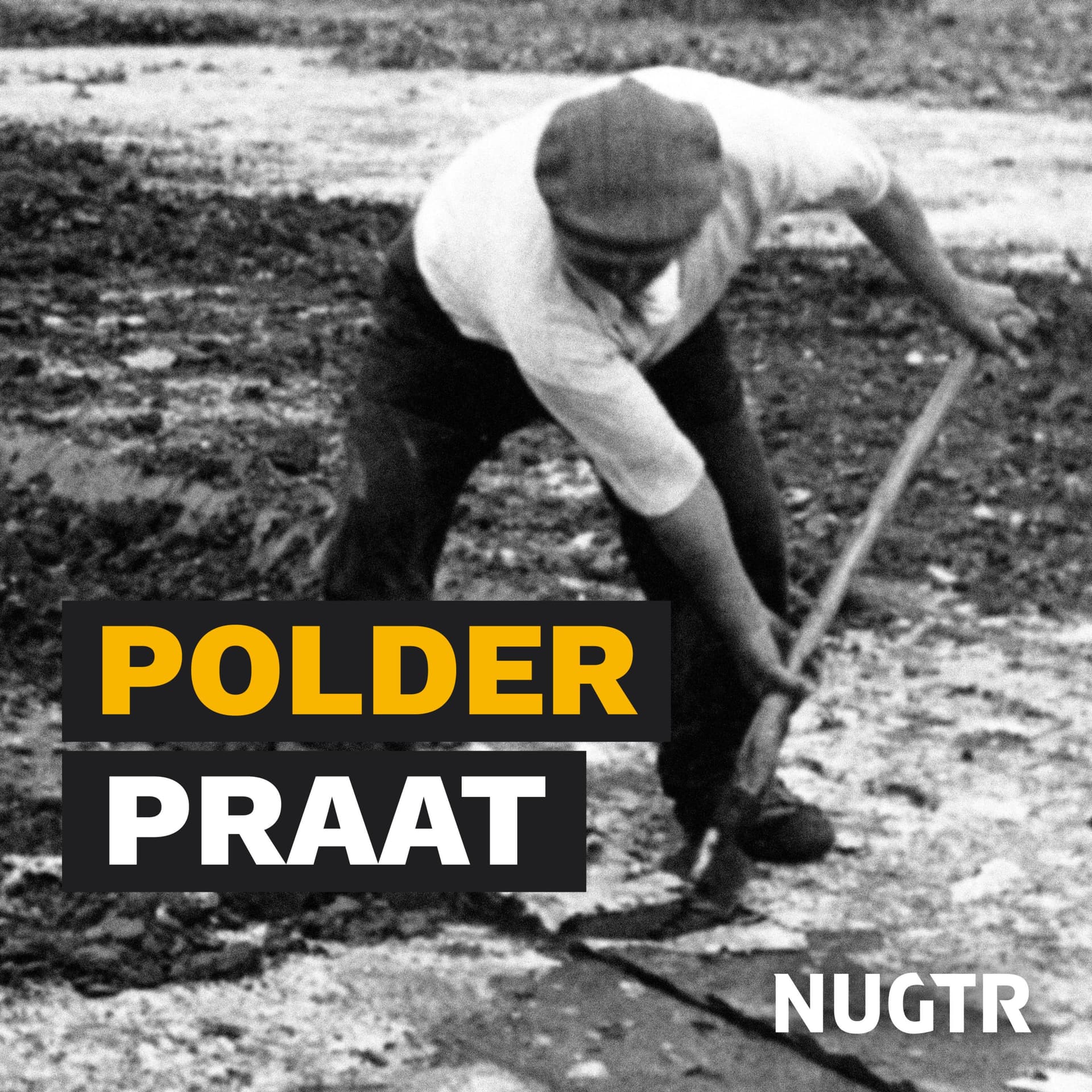 Polderpraat - Podcasts