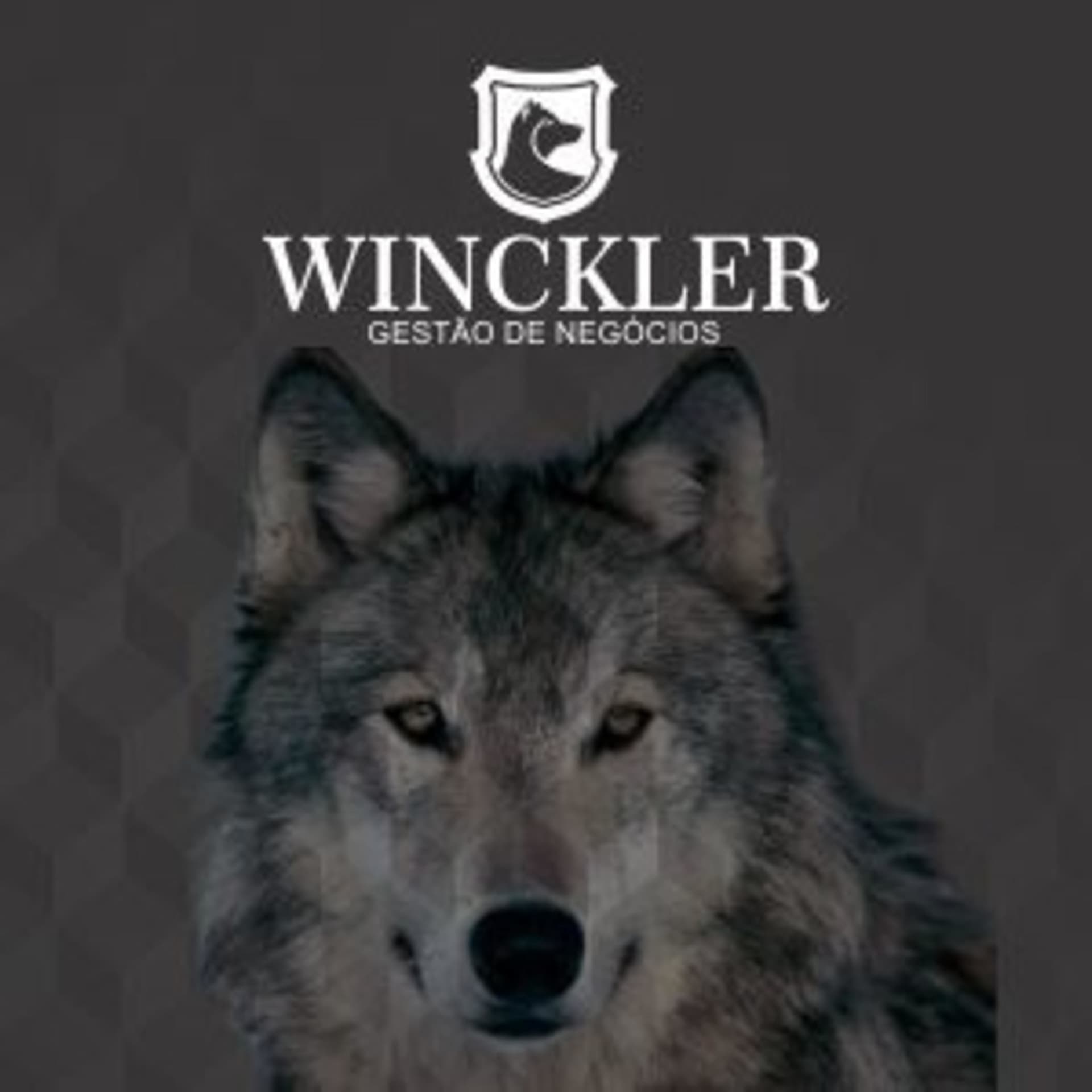 Winckler Gestão de Negócios - Podcasts