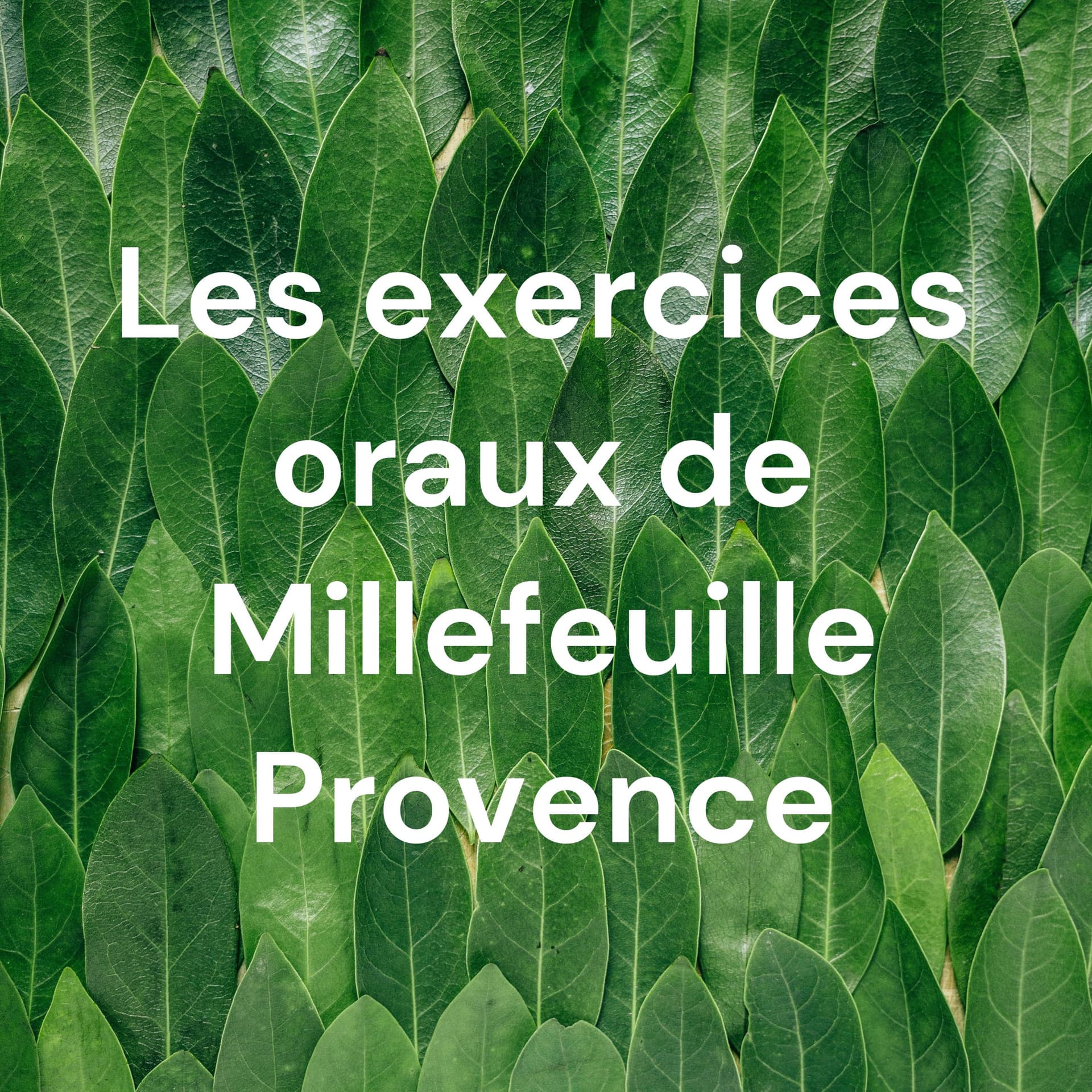 Les exercices oraux de Millefeuille Provence - Podcasts