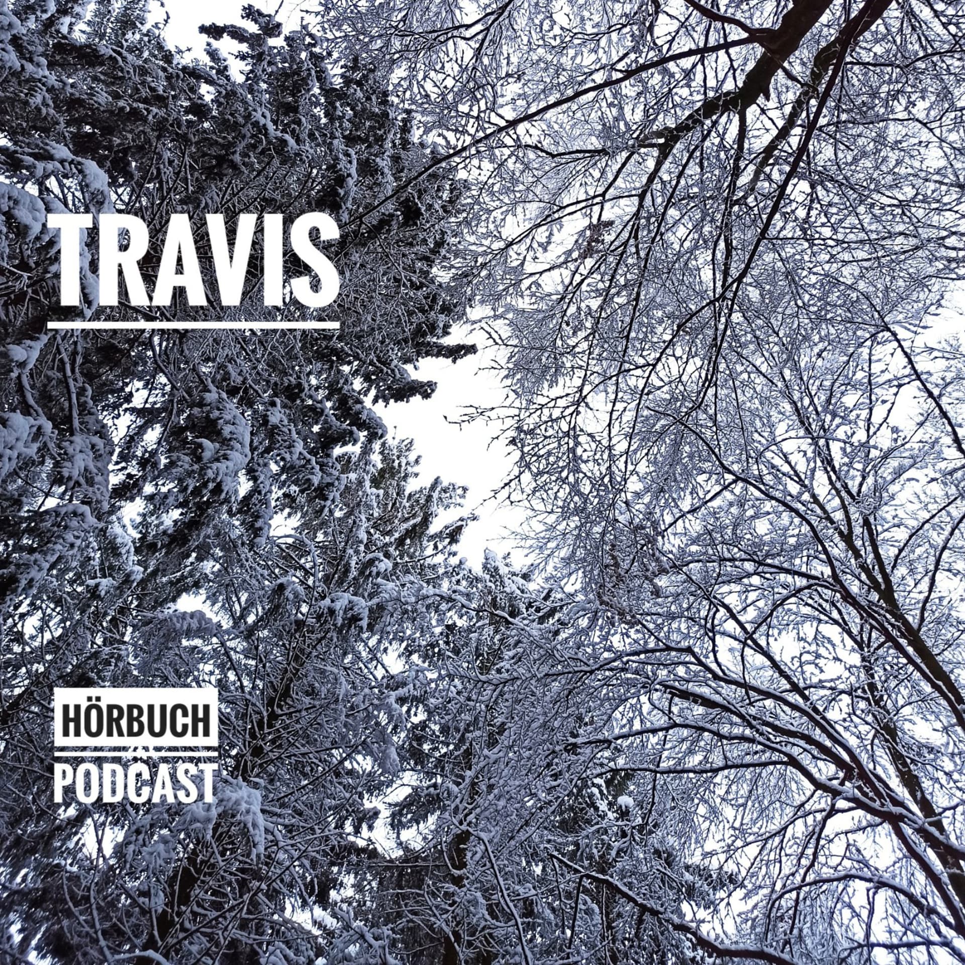 Travis - Hörbuch Podcast - Roman - Podcasts