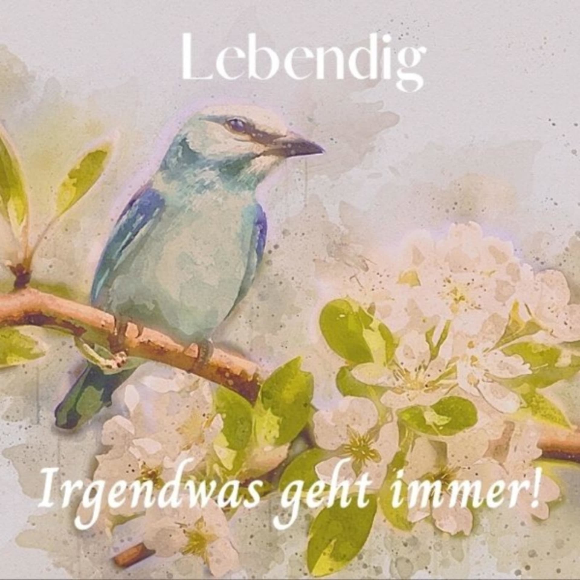 Lebendig - Irgendwas geht immer! - Podcasts