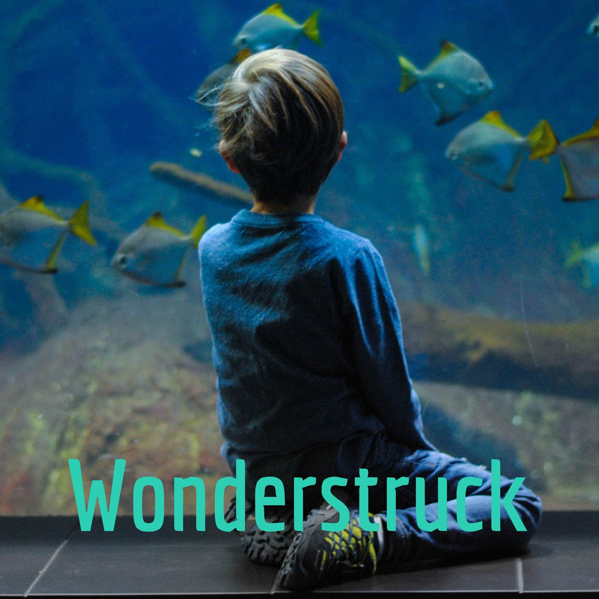 Wonderstruck - Podcasts