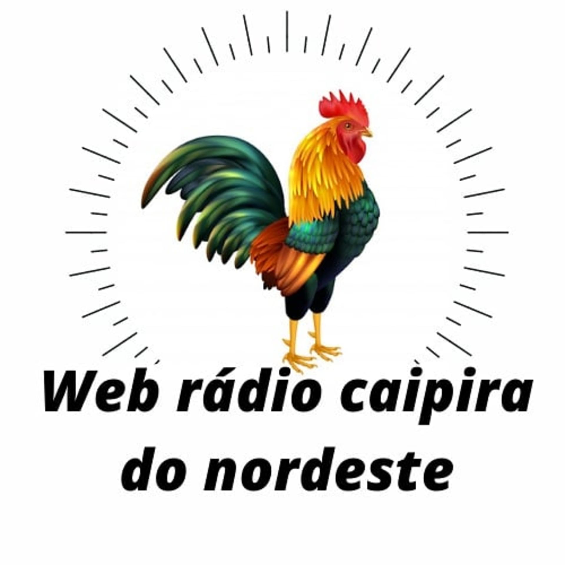 Podnord - Podcasts