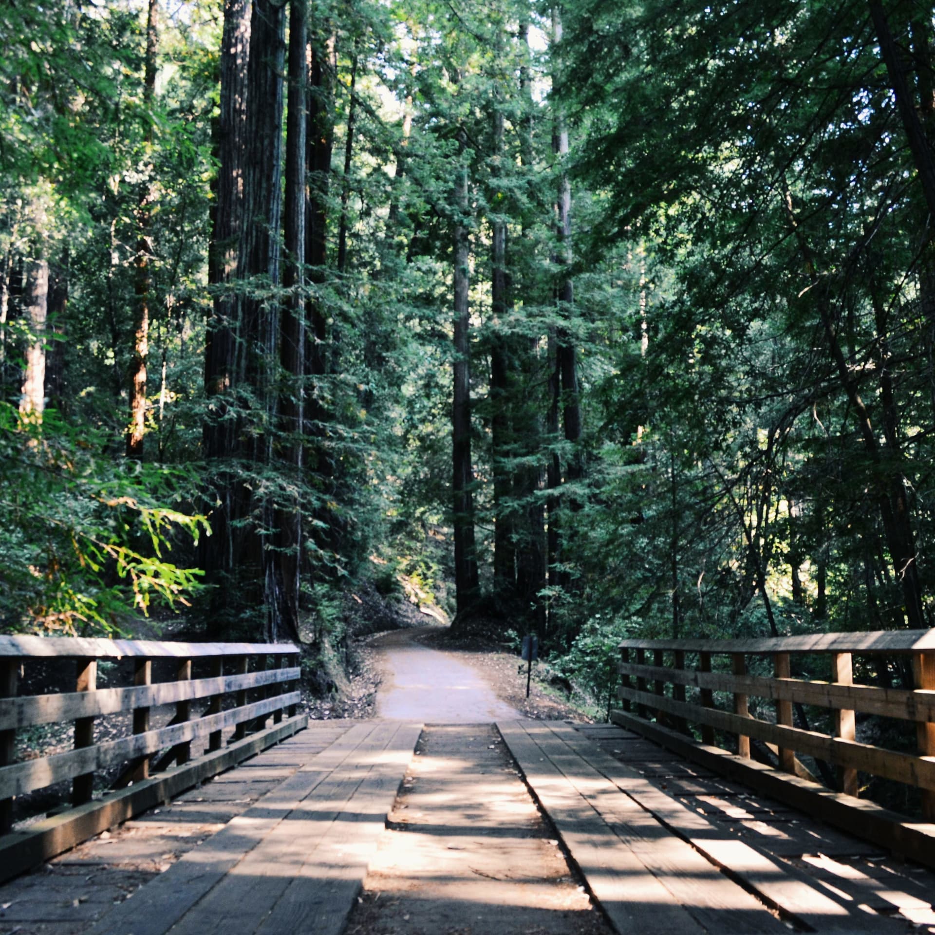 Reglamento Interno Parcelacion Sendero Tres Puentes - Podcasts