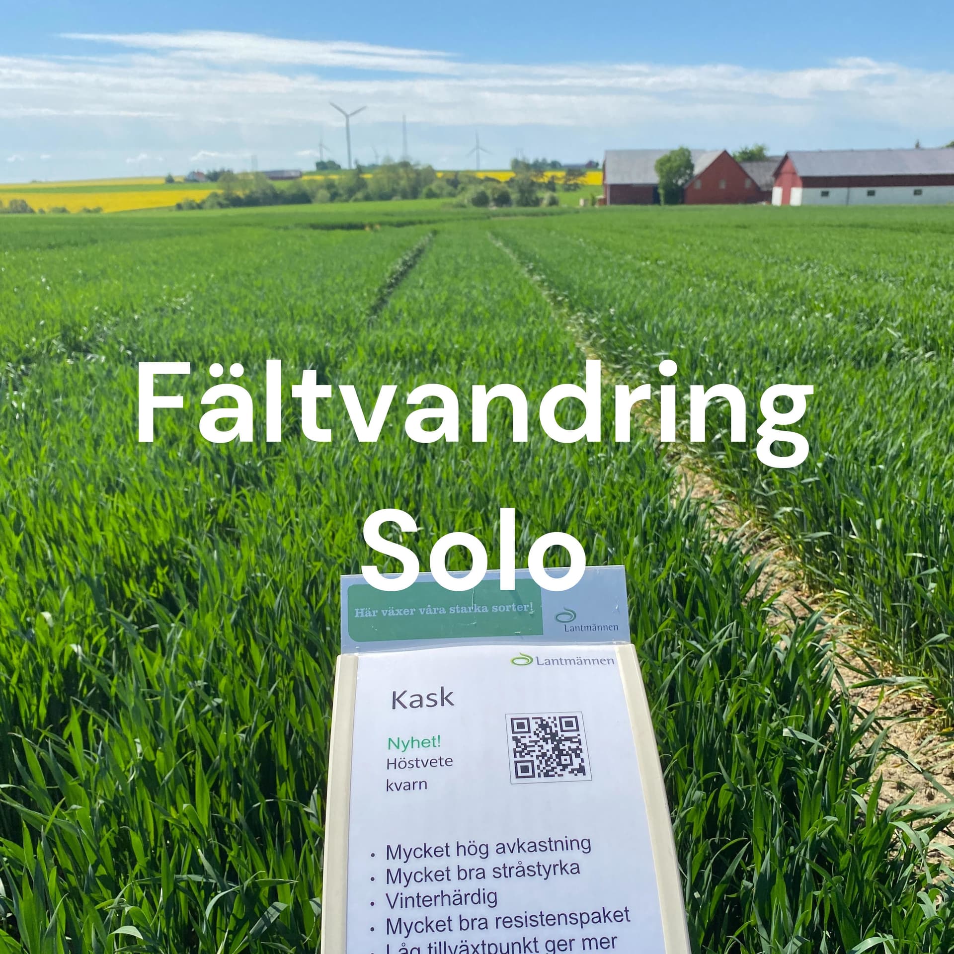 Fältvandring Solo - Sorter från Lantmännen - Podcasts