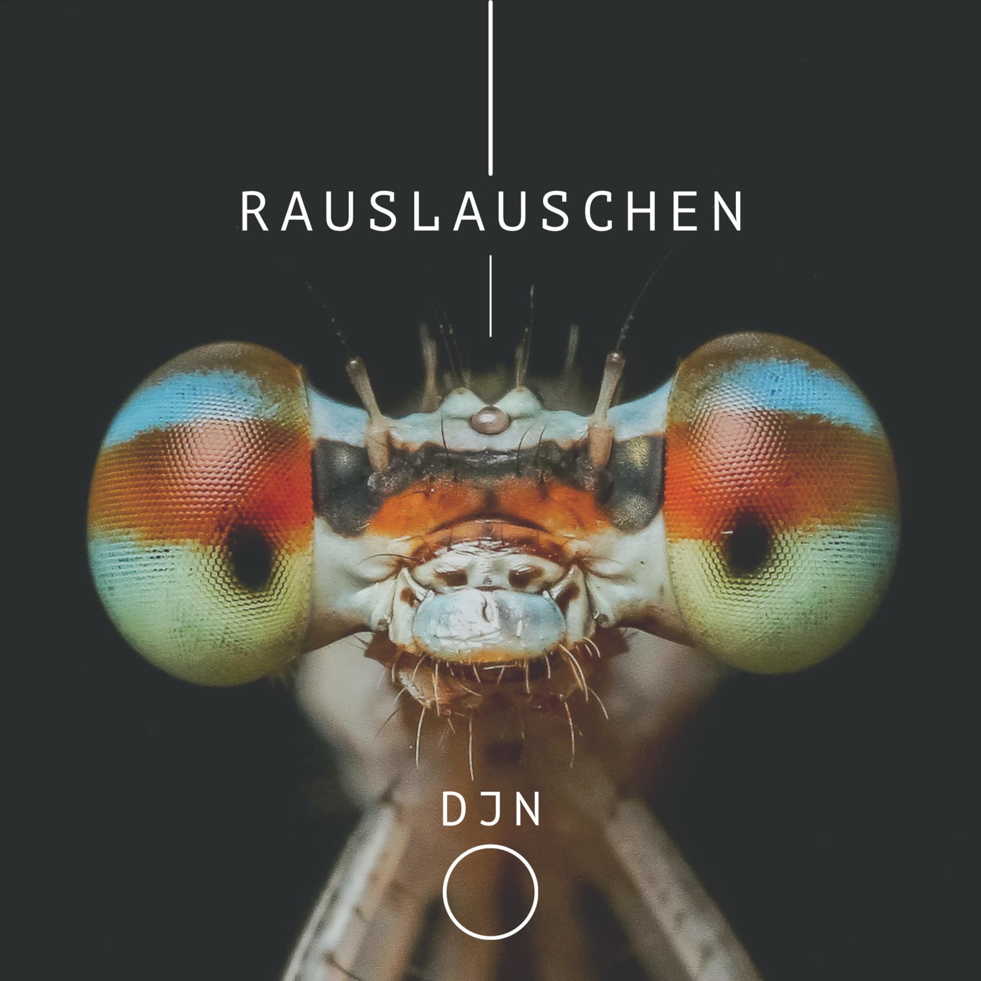 Rauslauschen - Podcasts