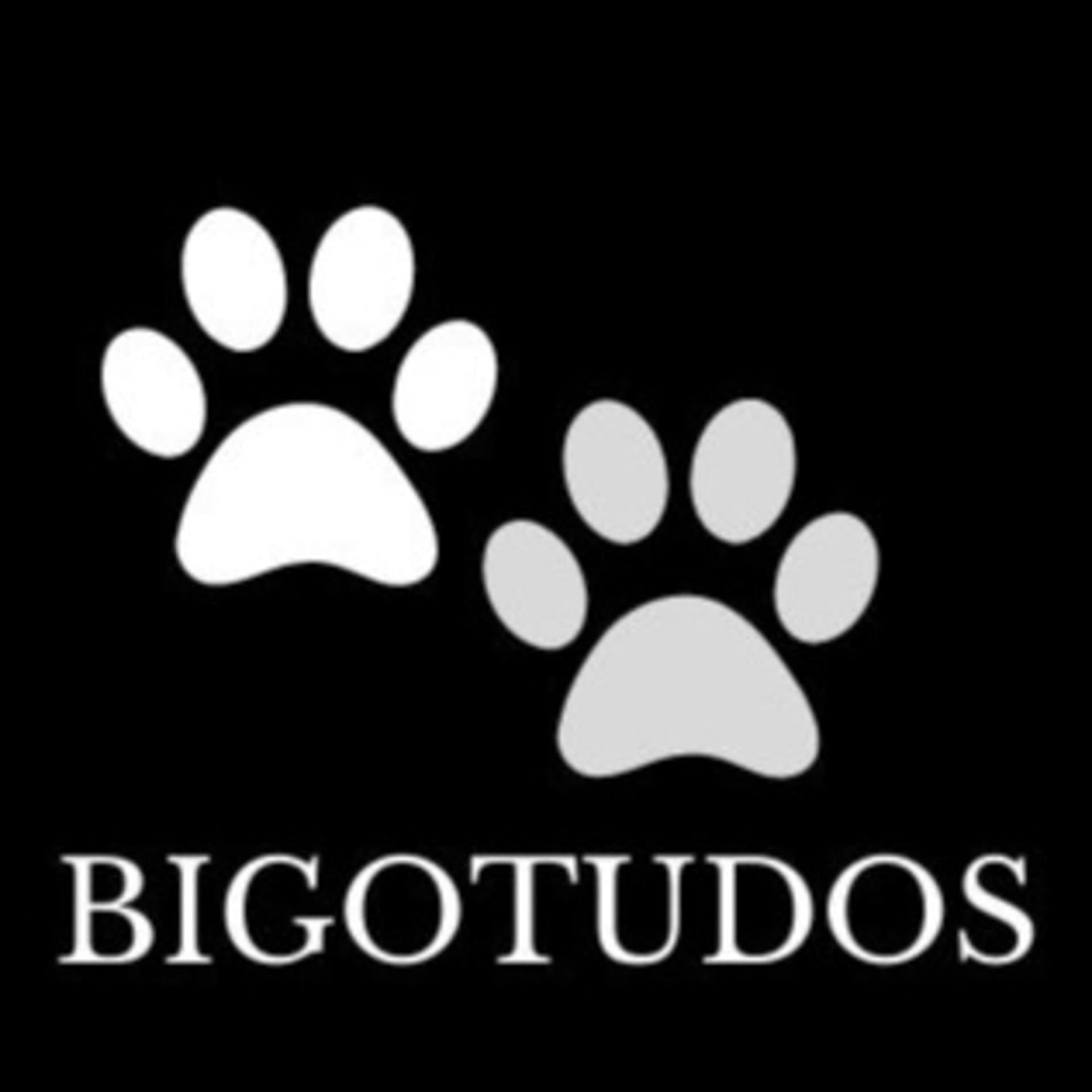 BIGOTUDOS - Podcasts