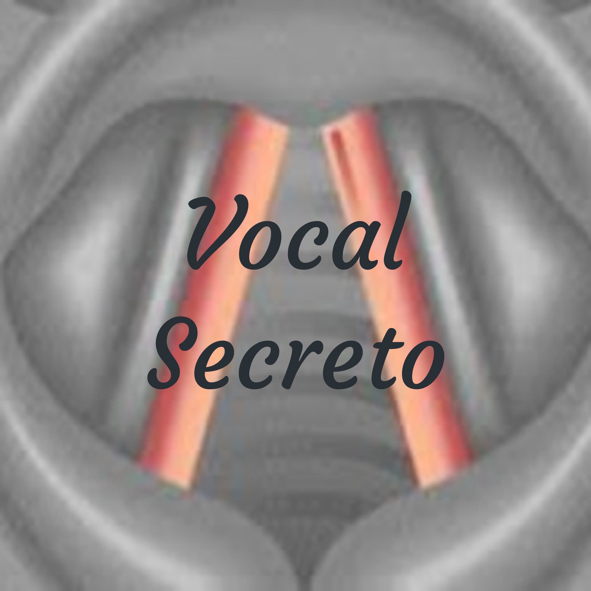 Vocal Secreto