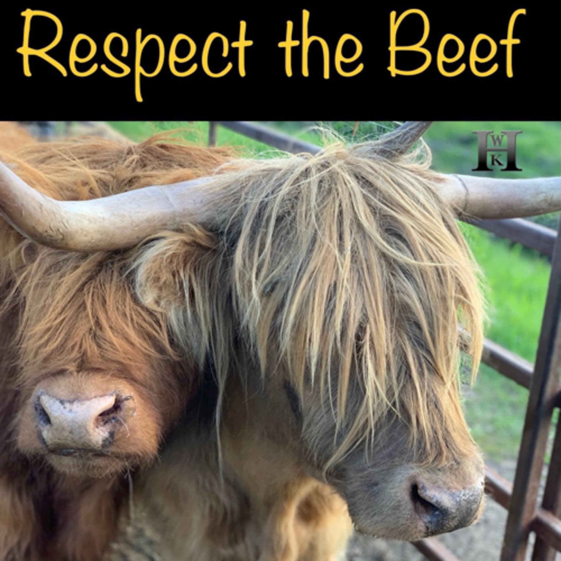 Respect the Beef - Podcasts