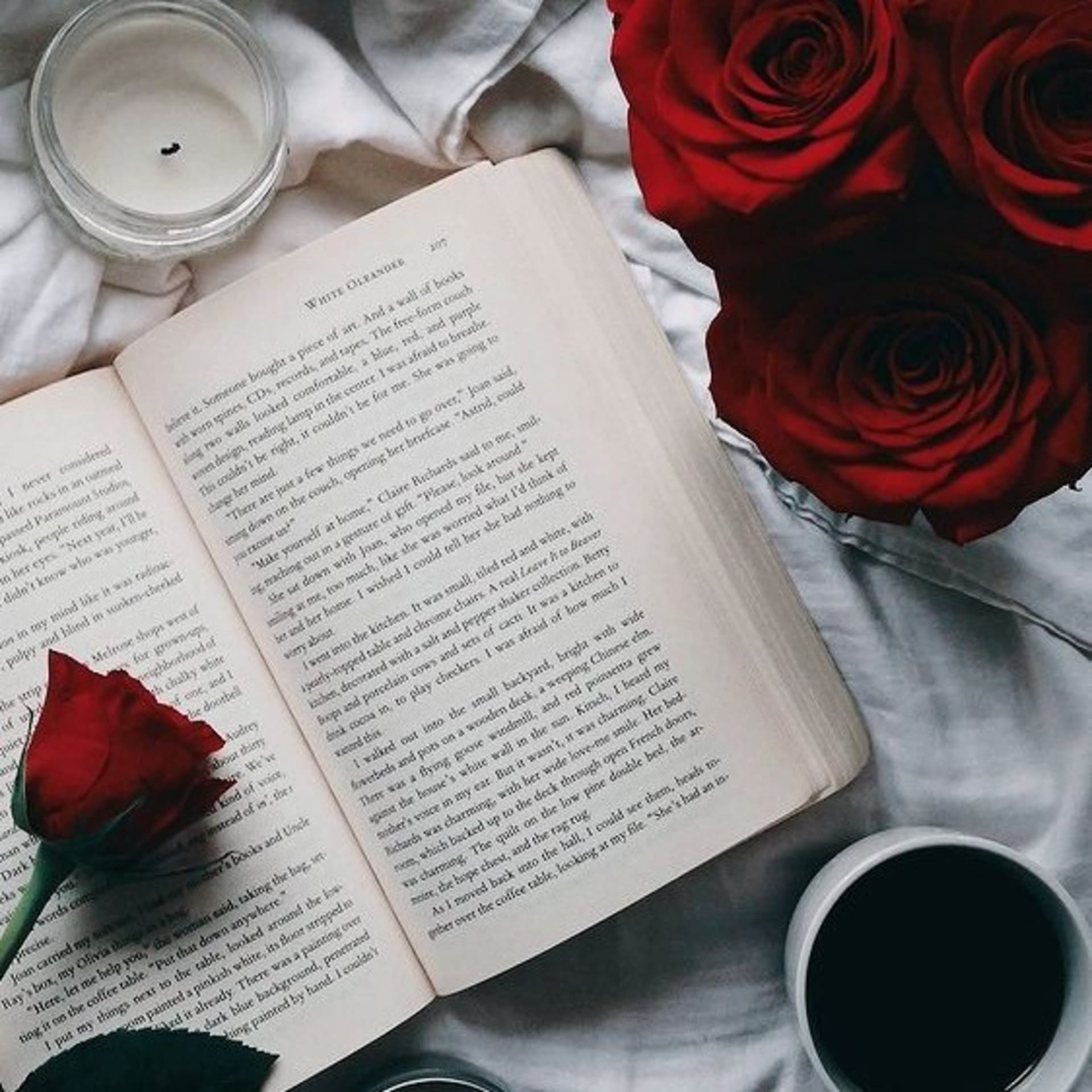 Fênix Flor Textos Autorais ✨ - Podcasts