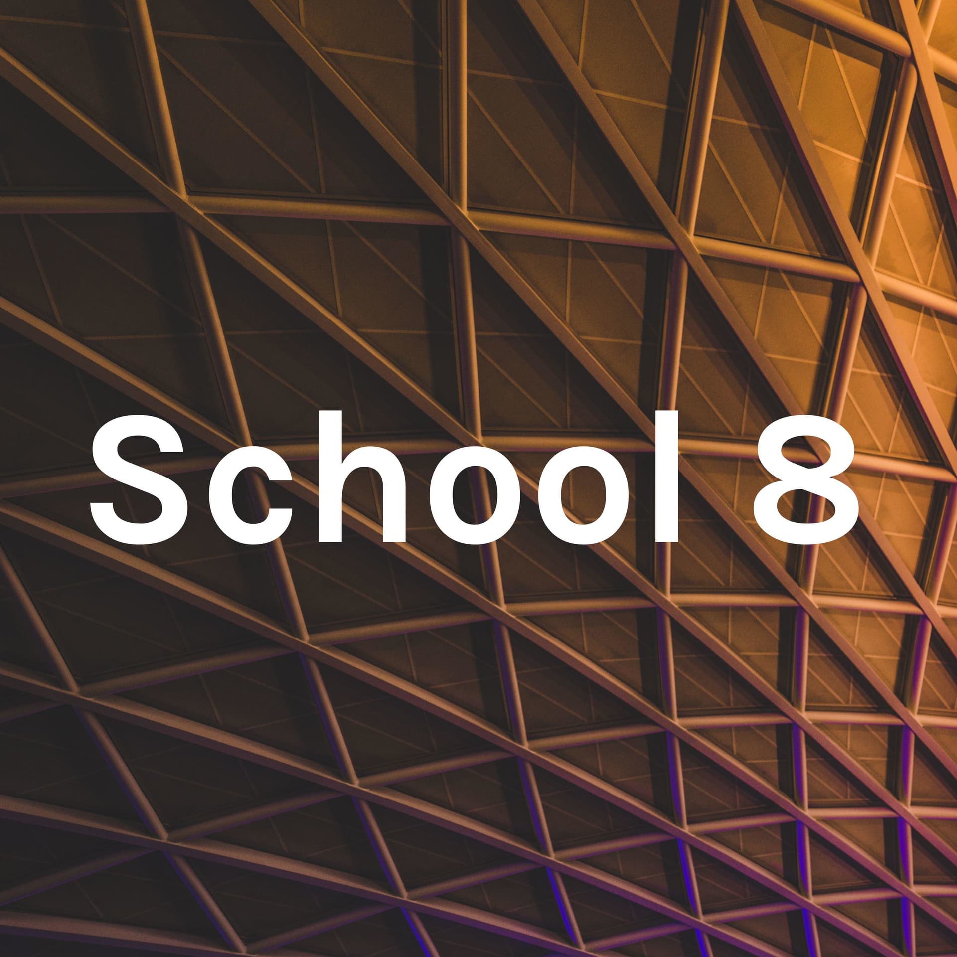 School 8 - Podcasts
