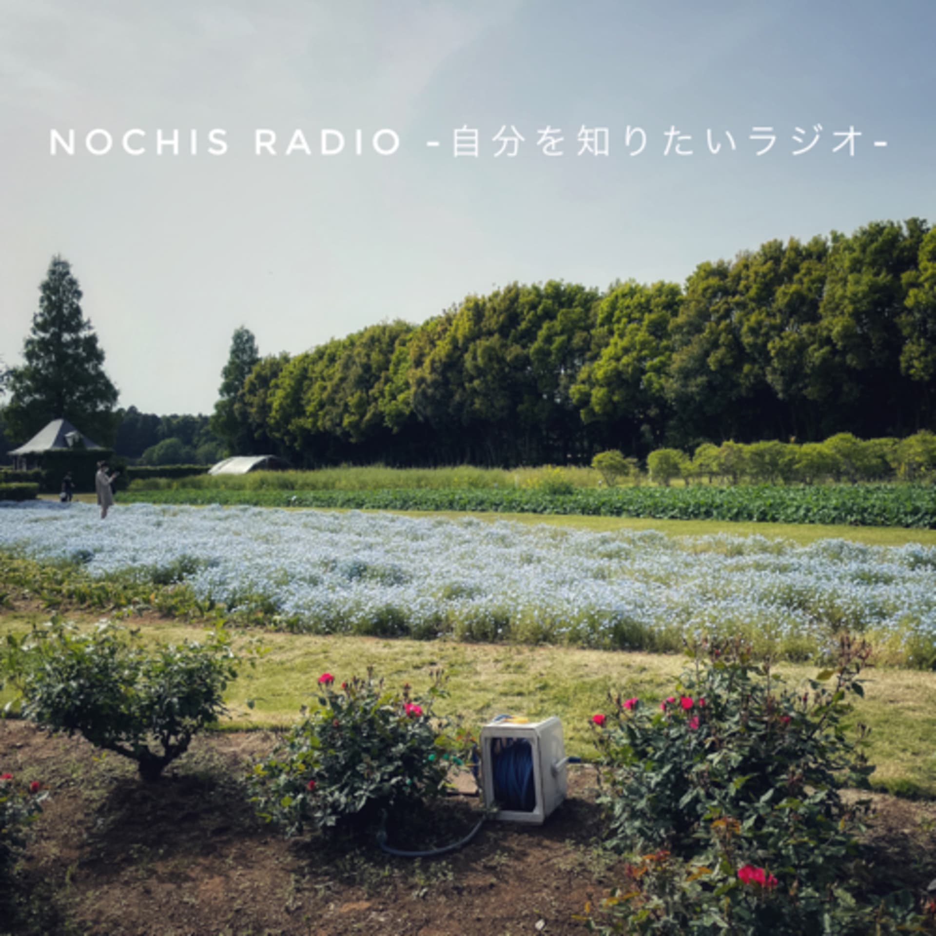 nochisラジオ-自分を知りたいラジオ- - Podcasts