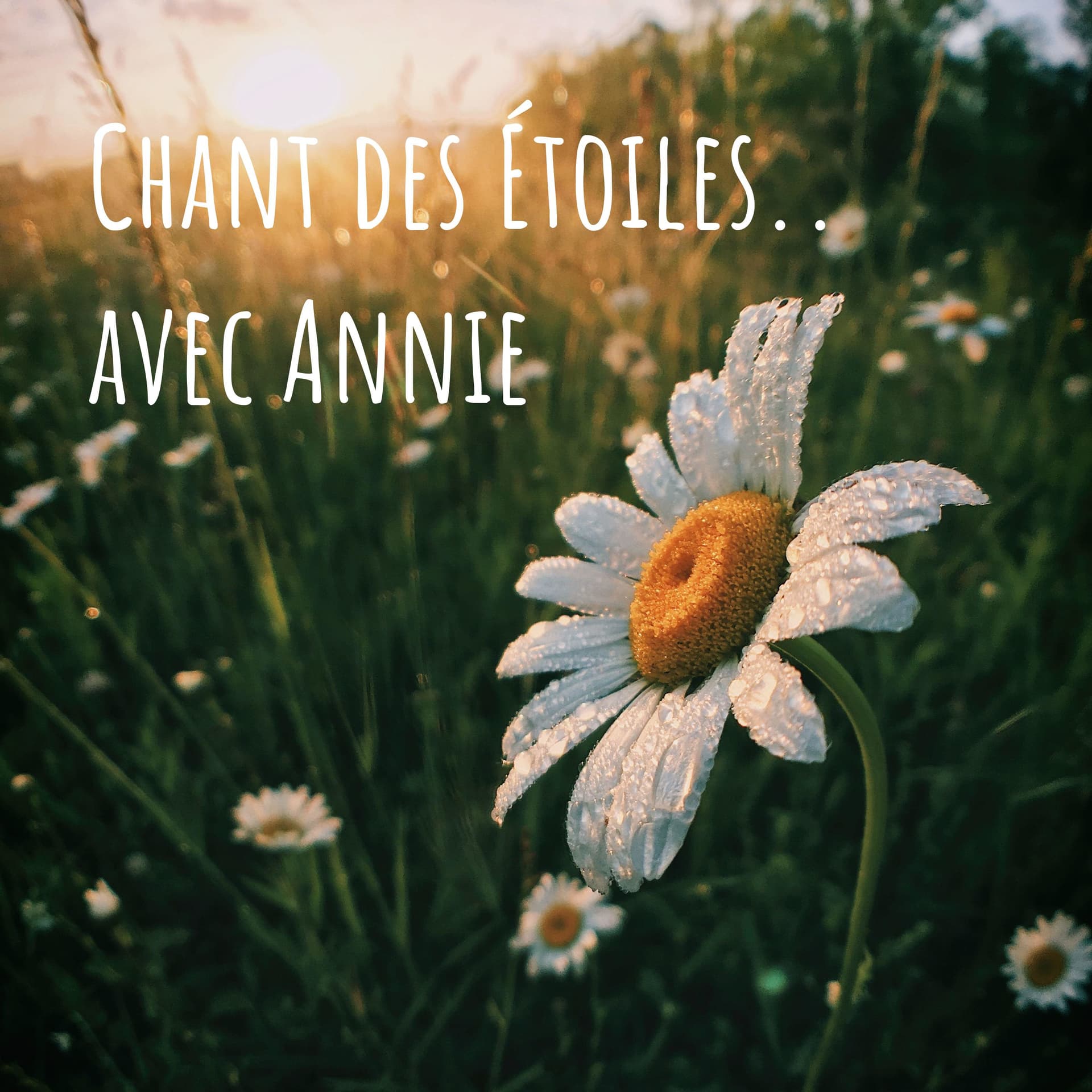 Chant des Étoiles.. avec Annie - Podcasts