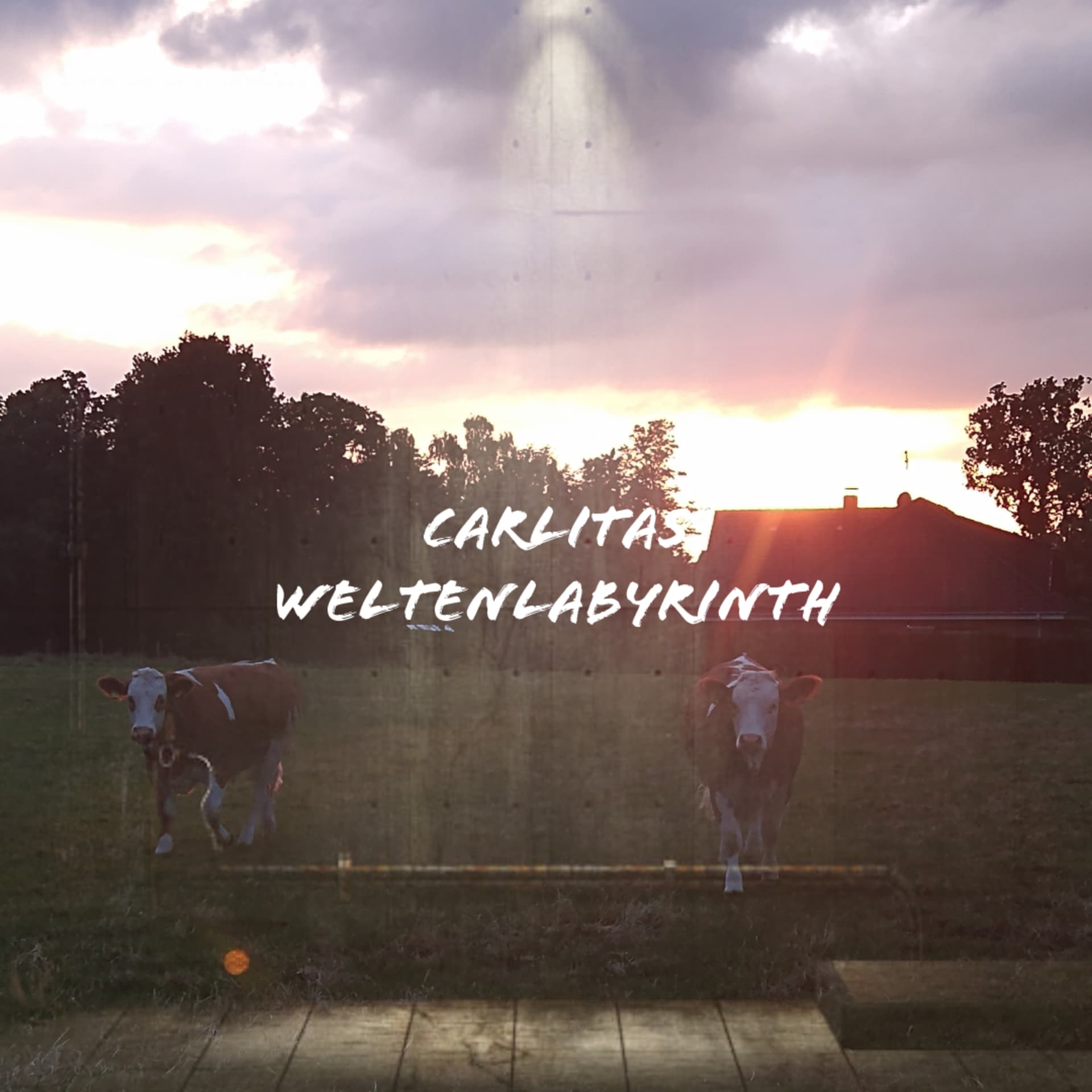 Carlitas Weltenlabyrinth - Podcasts