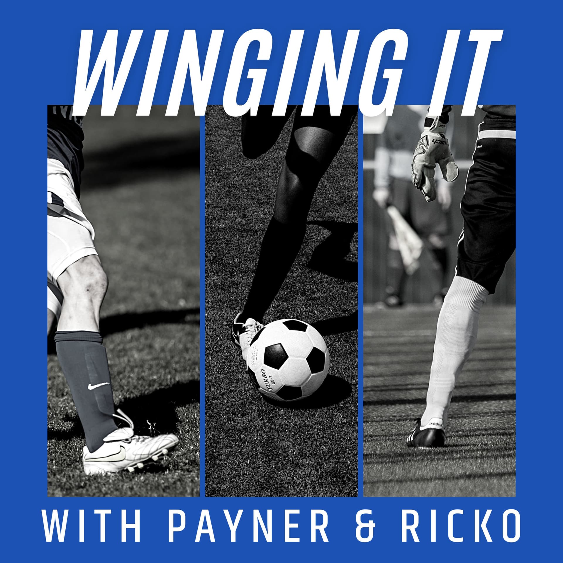 Winging It with Payner & Ricko - Podcasts