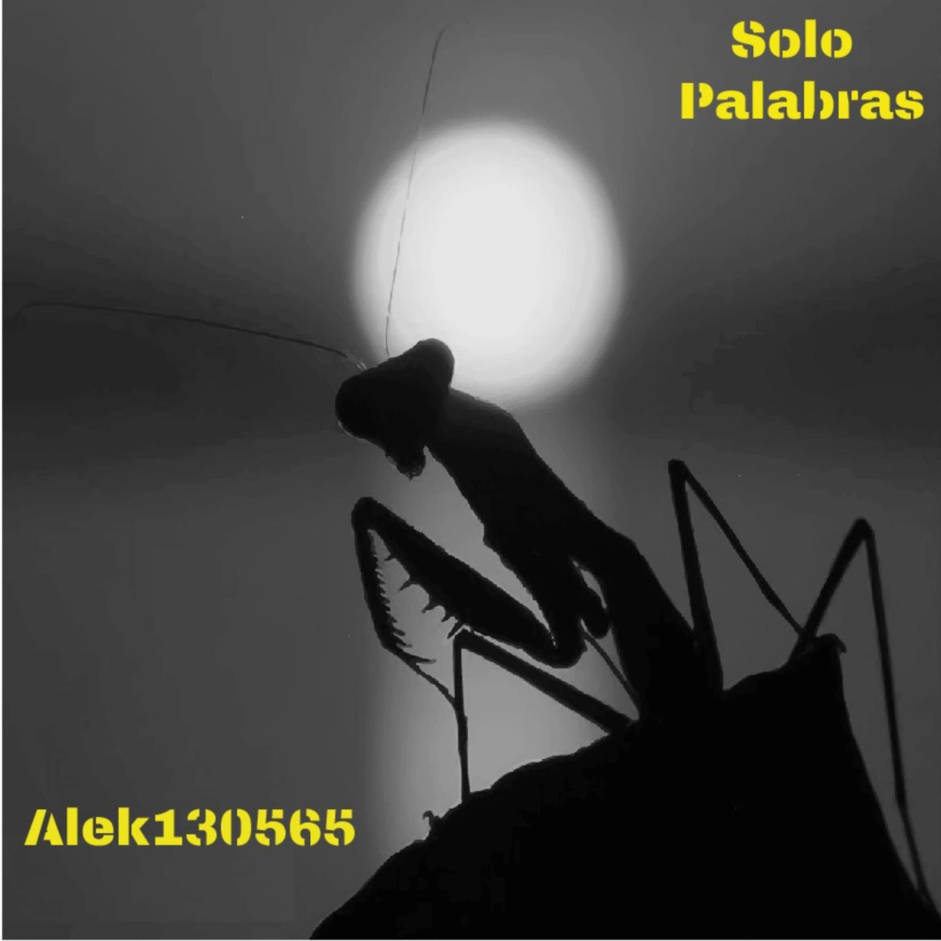 SOLO PALABRAS - Podcasts