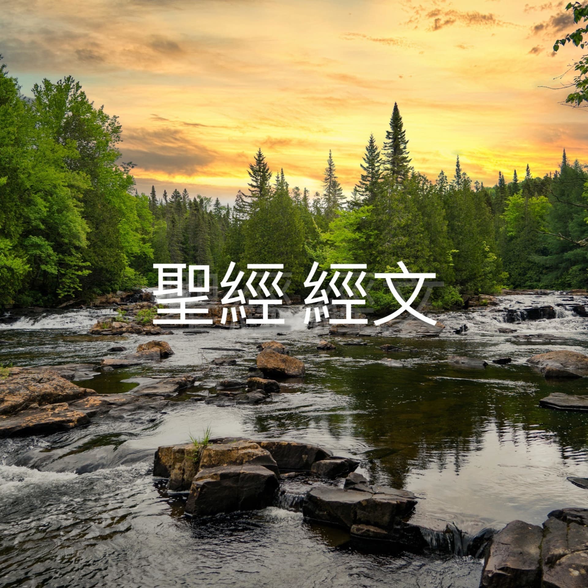 上帝 愛 你 聖經 心靈 生活 - Podcasts