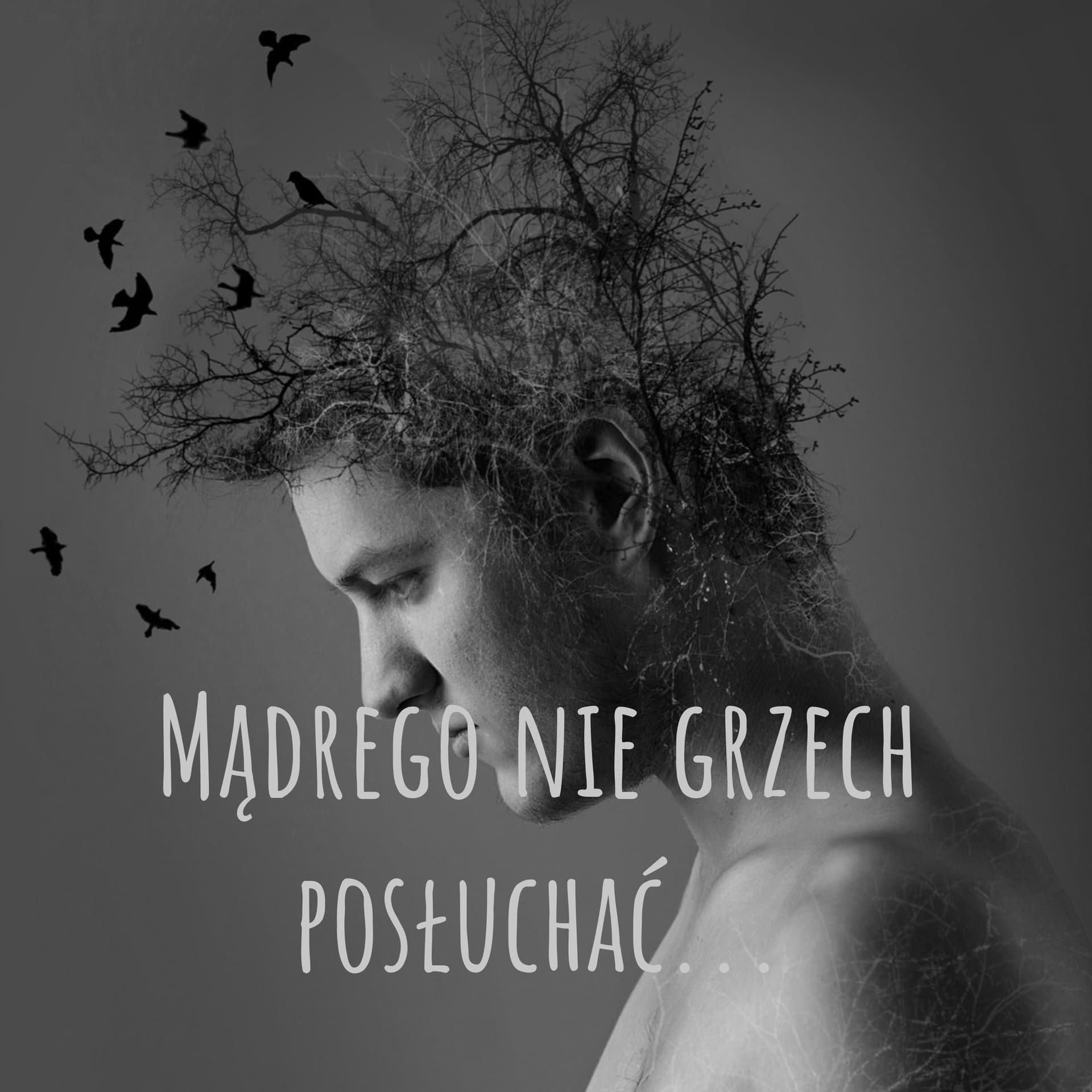 Mądrego nie grzech posłuchać... - Podcasts