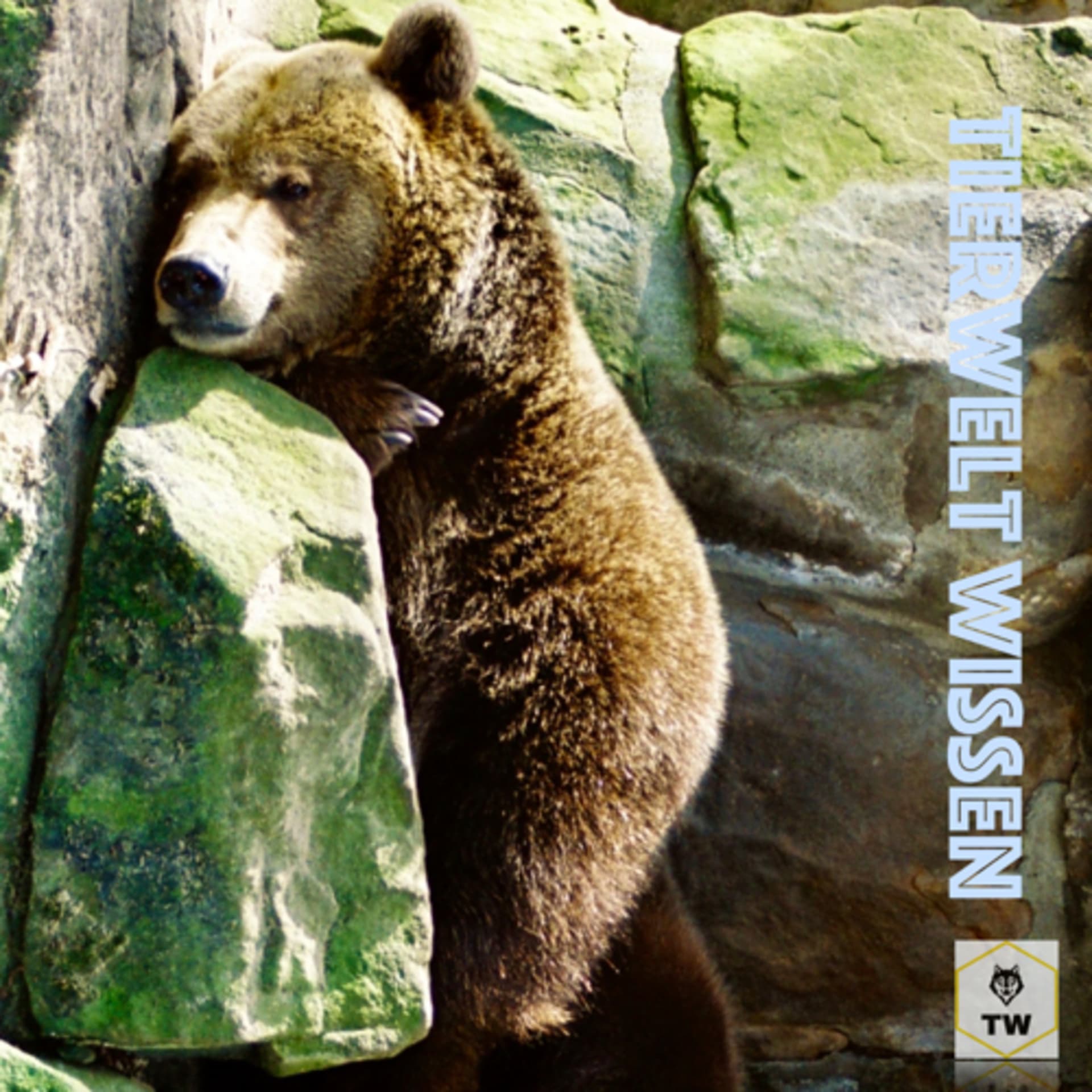 Tierwelt Wissen - Podcasts