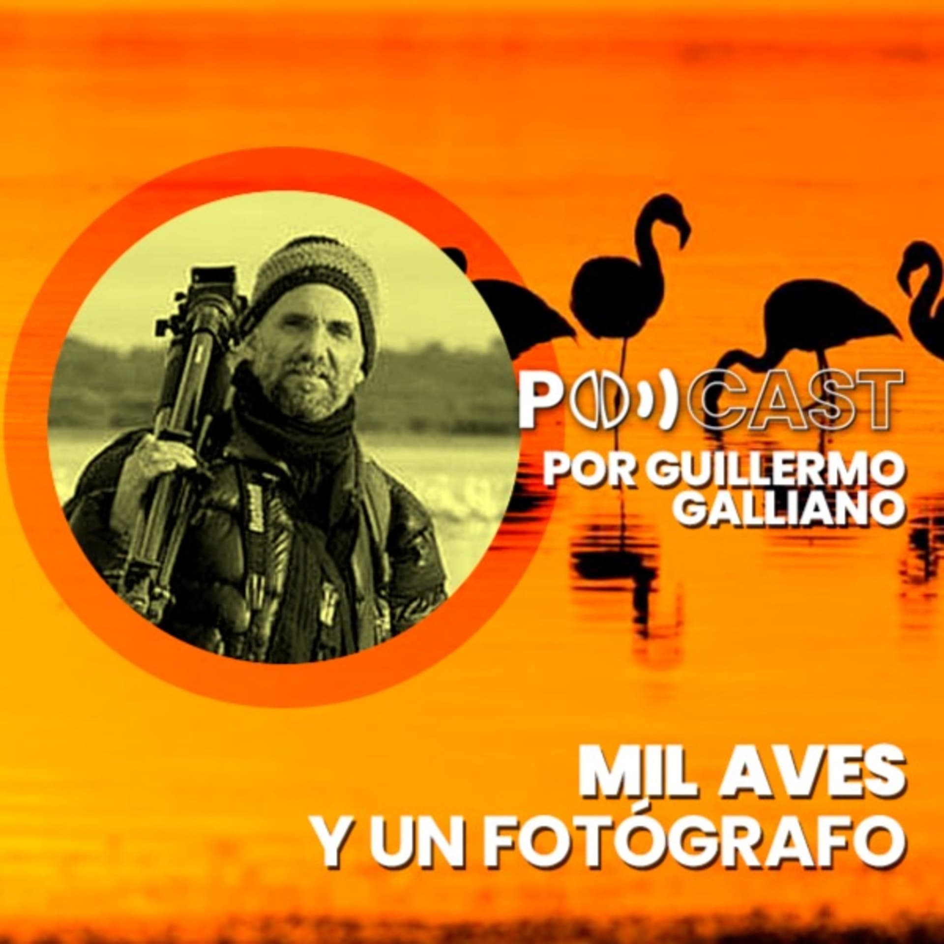Mil Aves y un Fotógrafo - Podcasts
