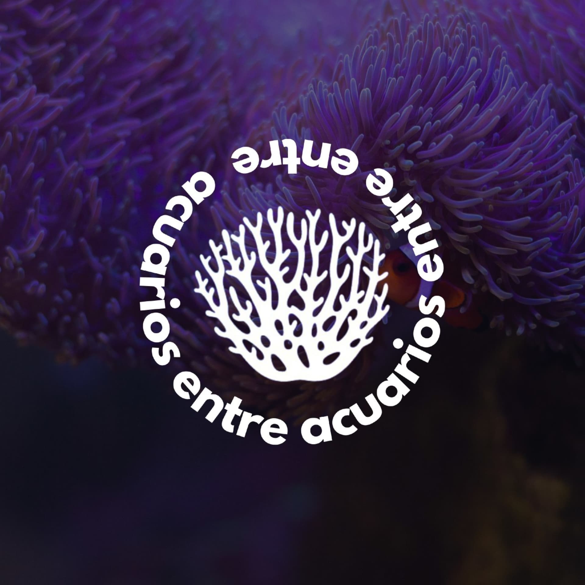 Entre Acuarios Podcast - Podcasts