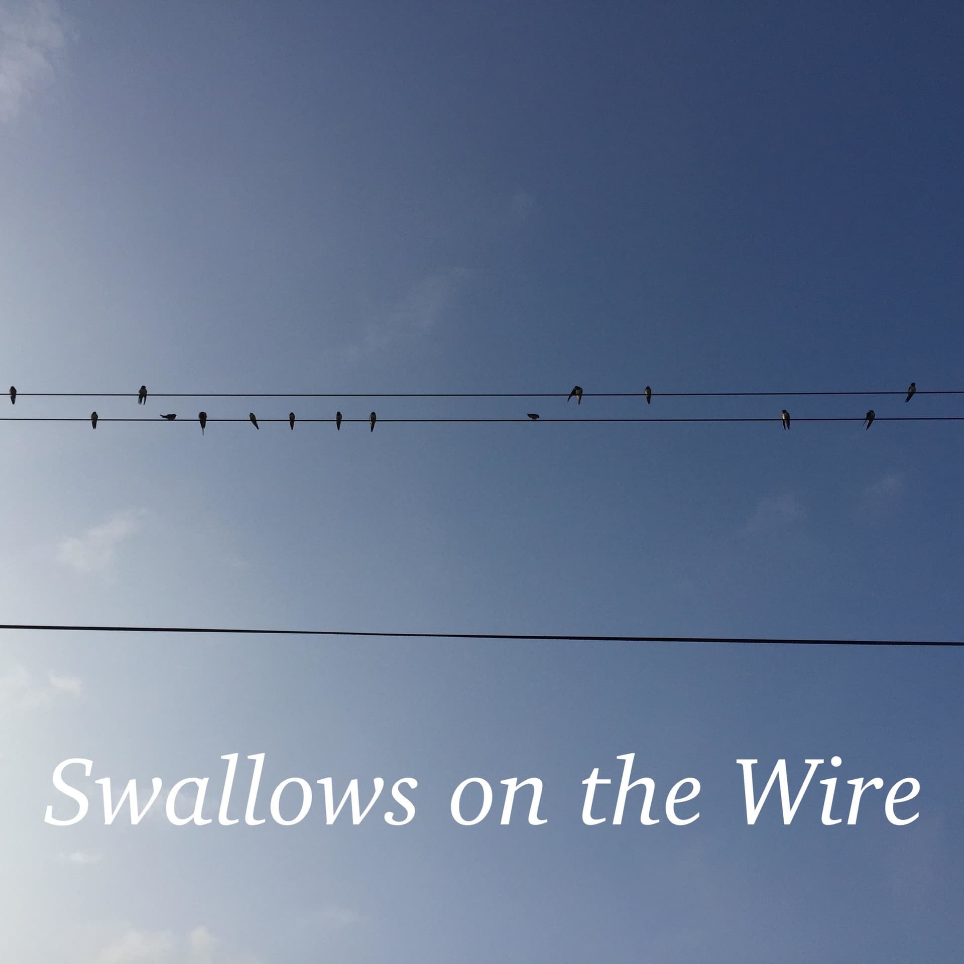 Swallows on the Wire - Podcasts
