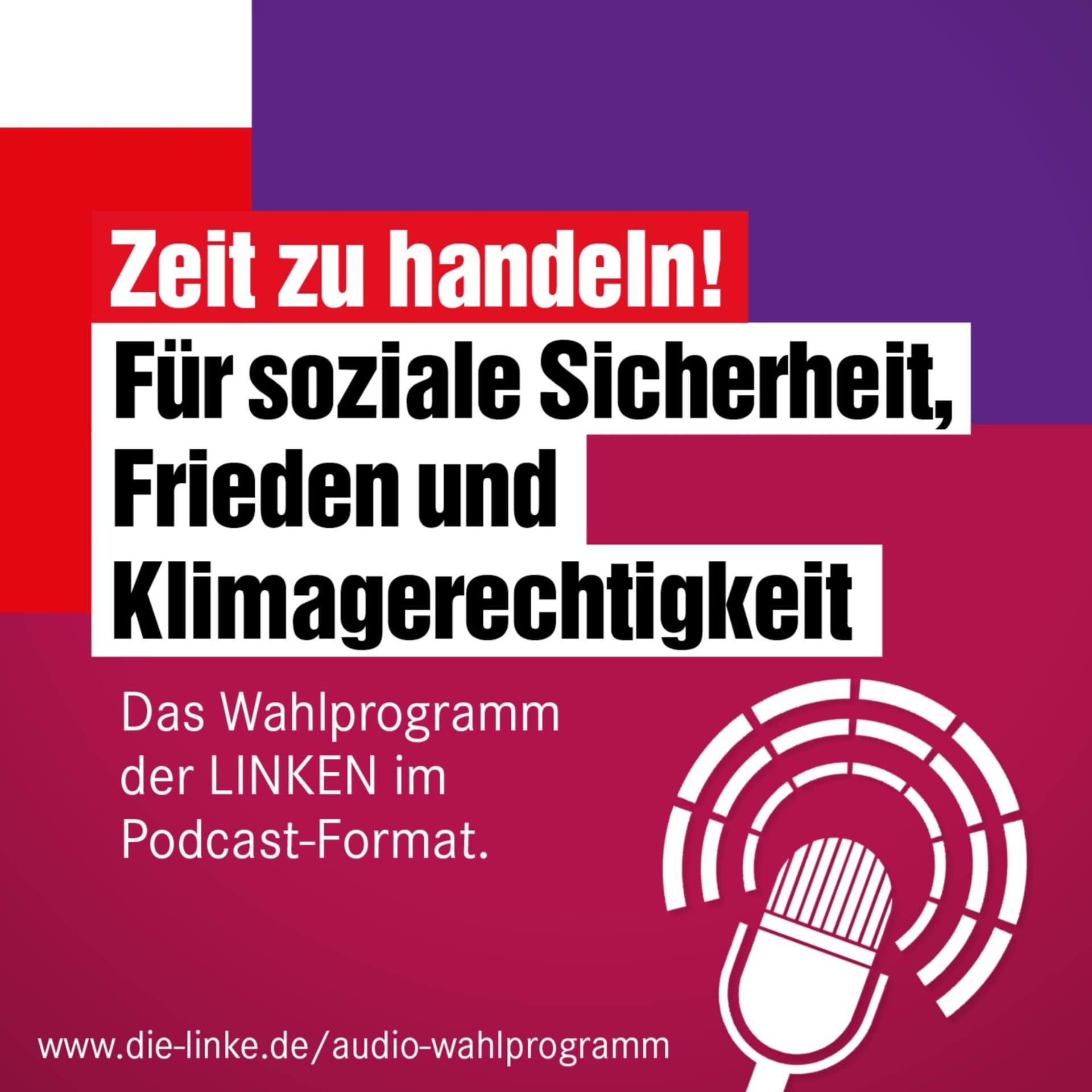 DIE LINKE Wahlprogramm BTW 2021 - Podcasts