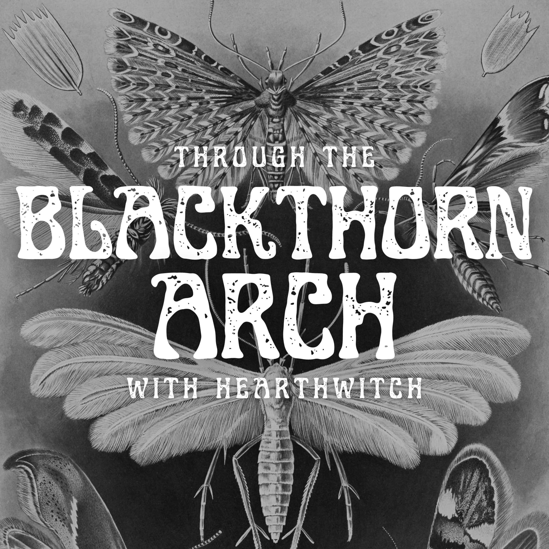 Through the Blackthorn Arch - Podcasts