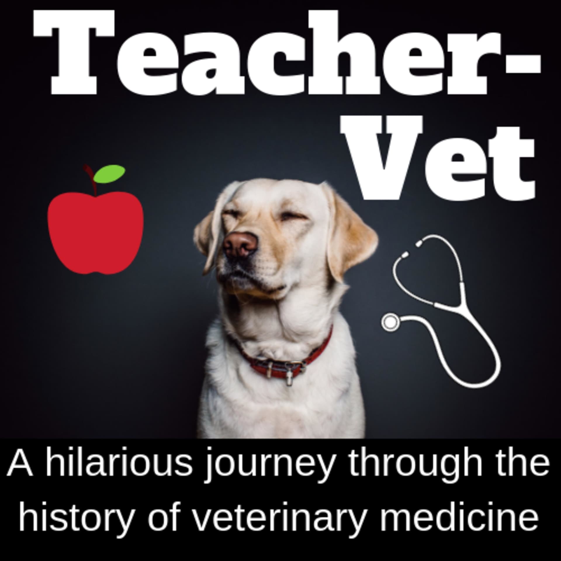 Teacher-Vet - Podcasts