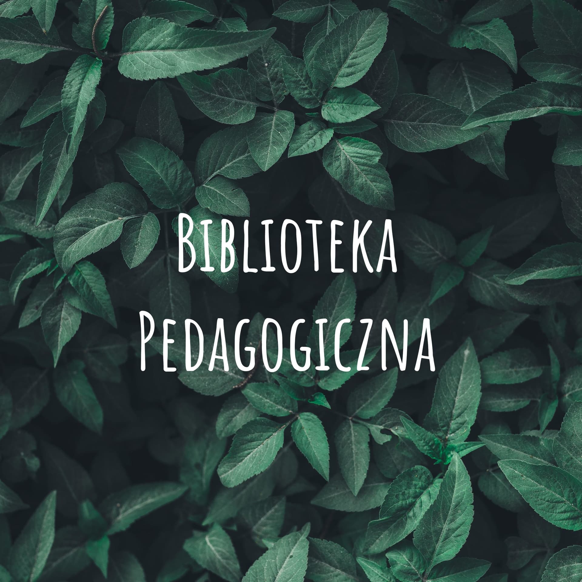 Biblioteka Pedagogiczna - Gorlice - Podcasts