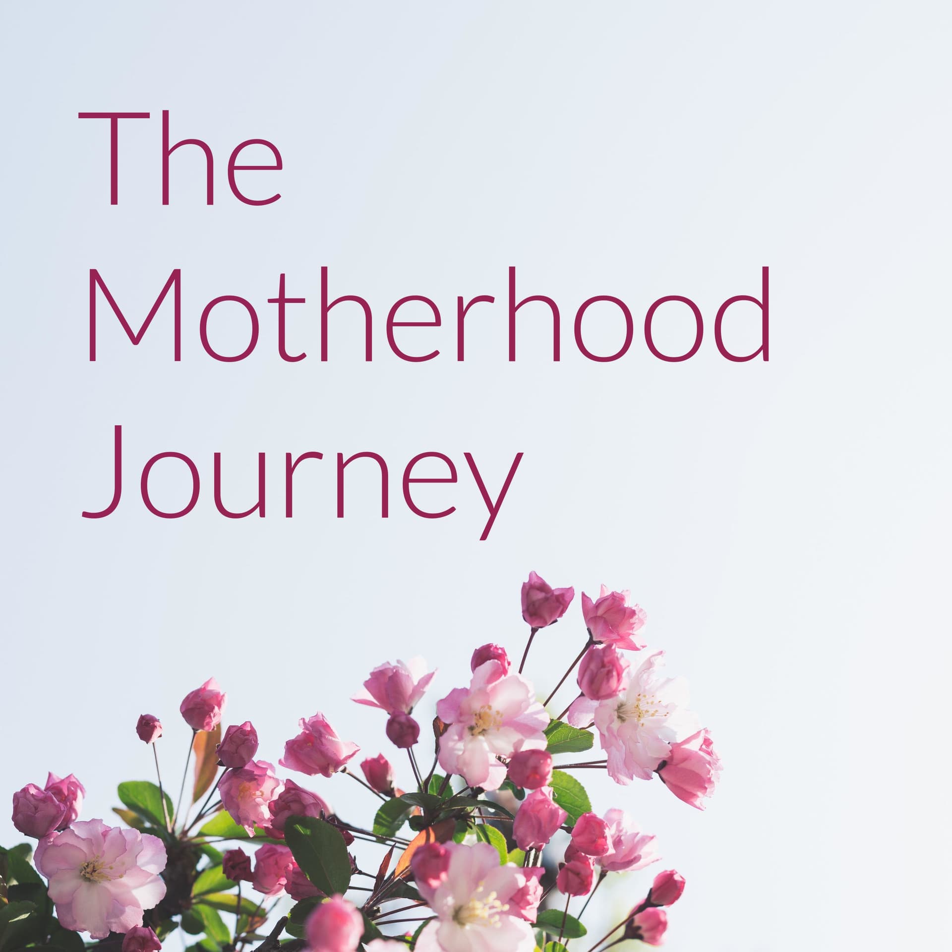 The Motherhood Journey - Podcasts