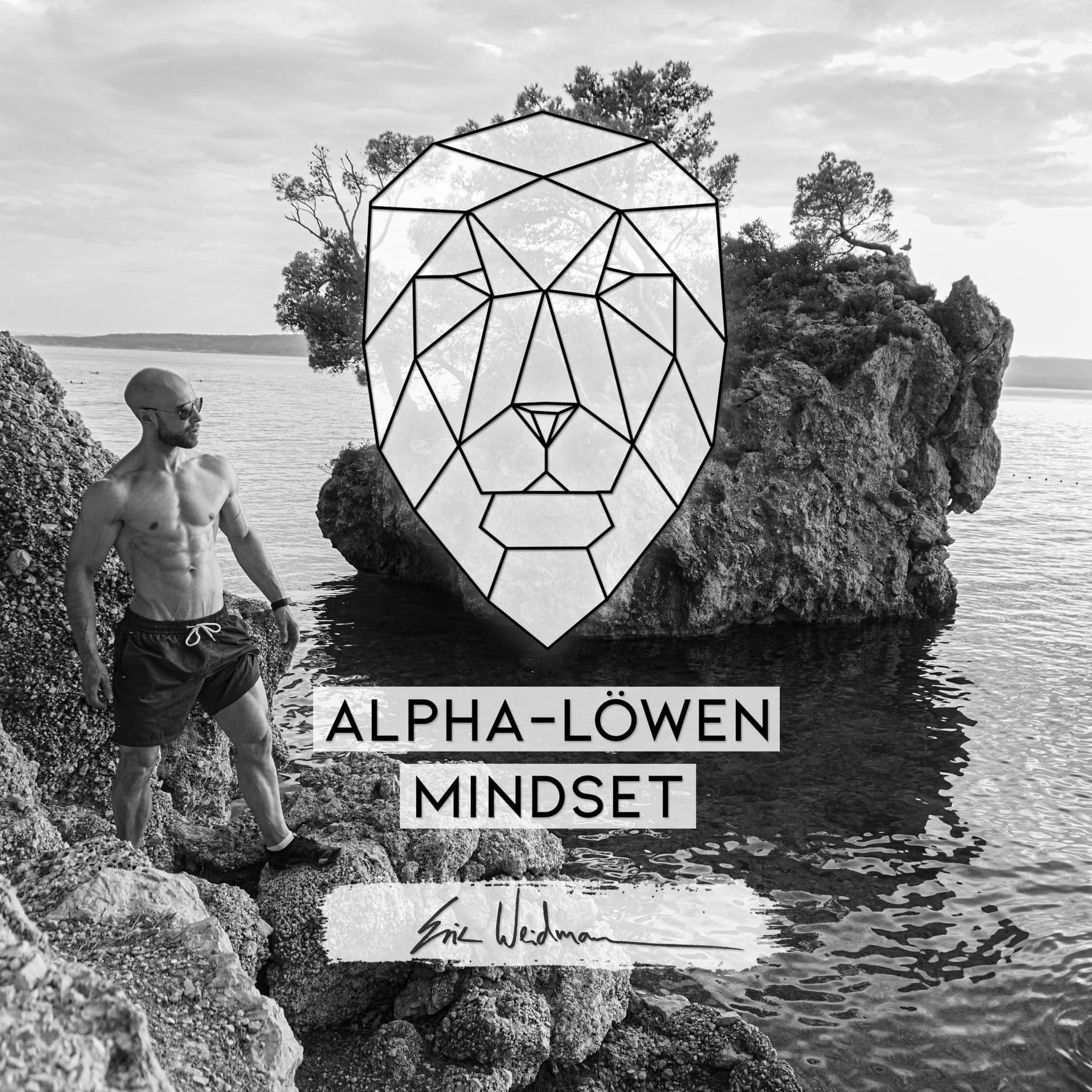 ALPHA-LÖWEN-MINDSET by Eric Weidmann - Podcasts