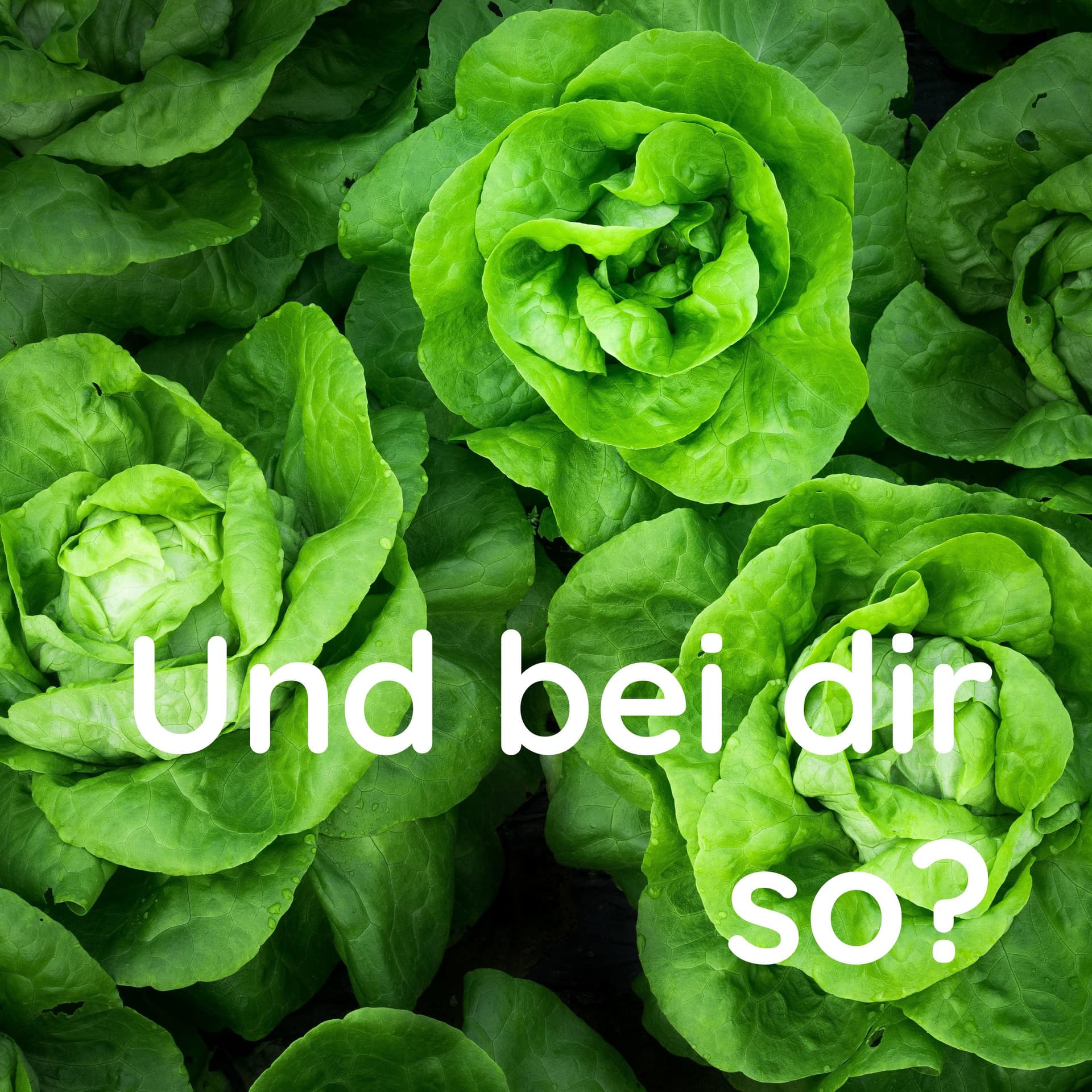 Und bei dir so? - Podcasts