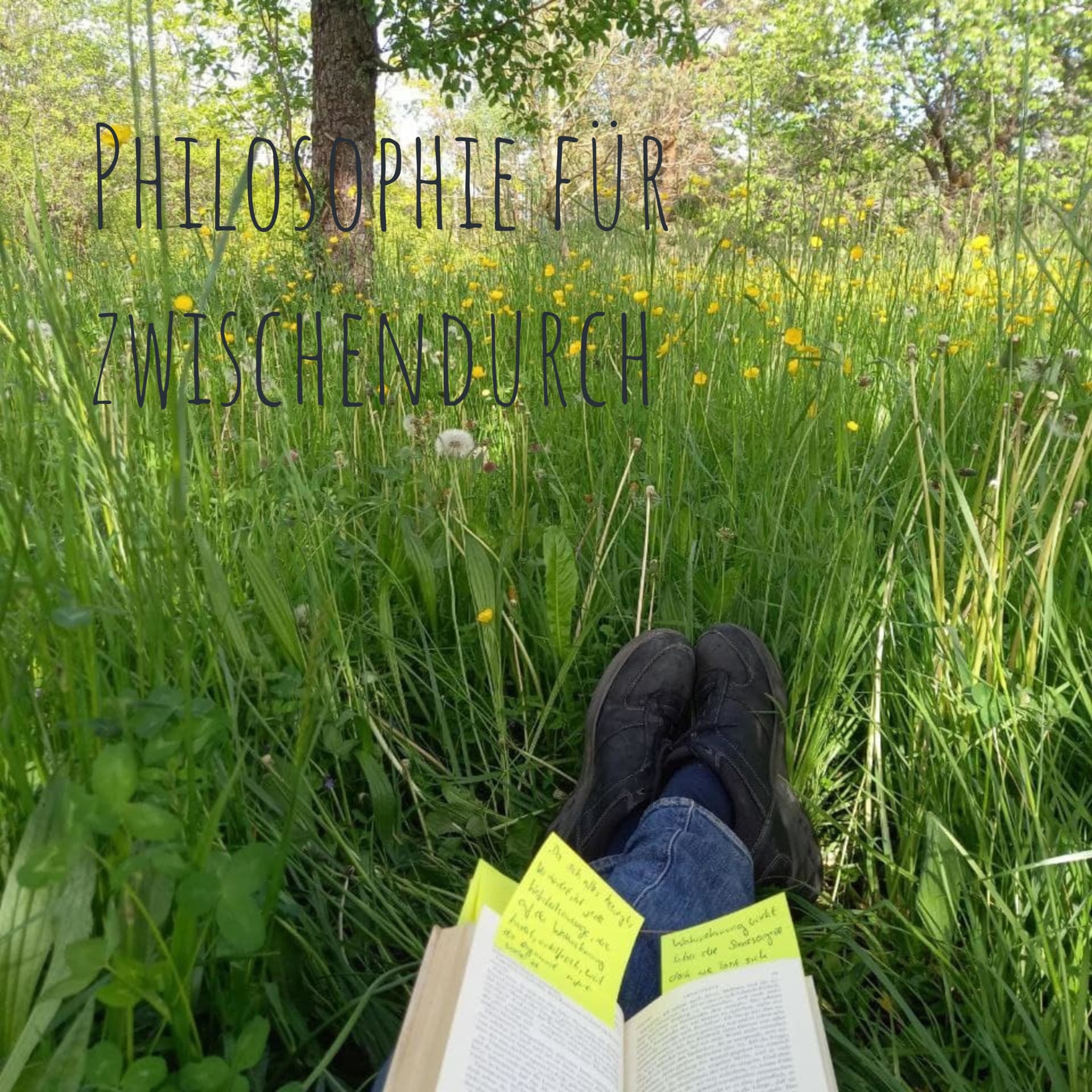 Philosophie für zwischendurch - Podcasts
