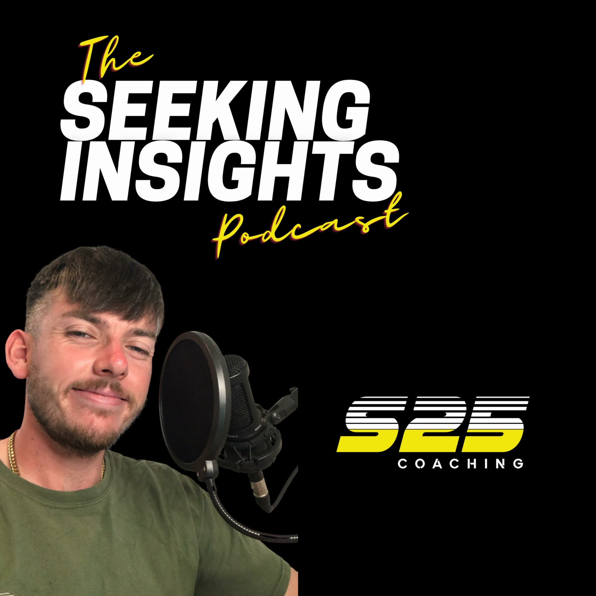 Seeking Insights Podcast - Podcasts