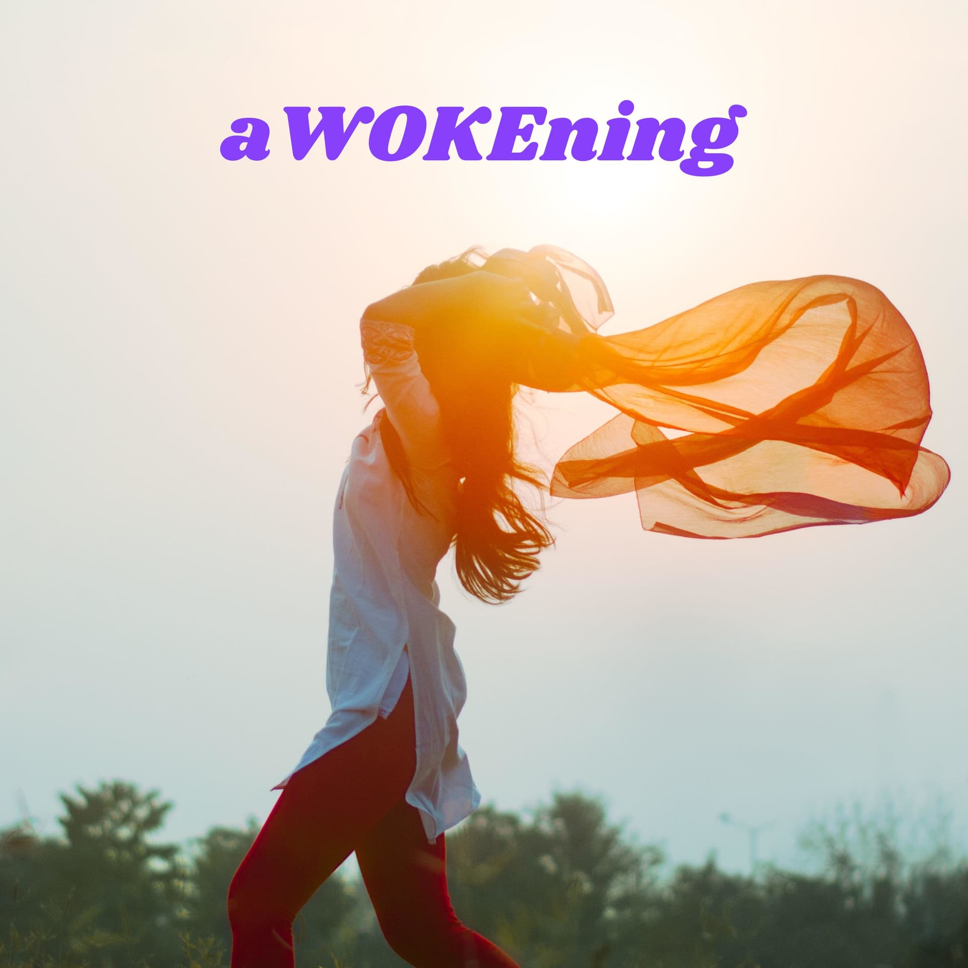 aWOKEning: Finding Freedom, Finding You - Ep. 2 Not My Shiz! - Podcasts