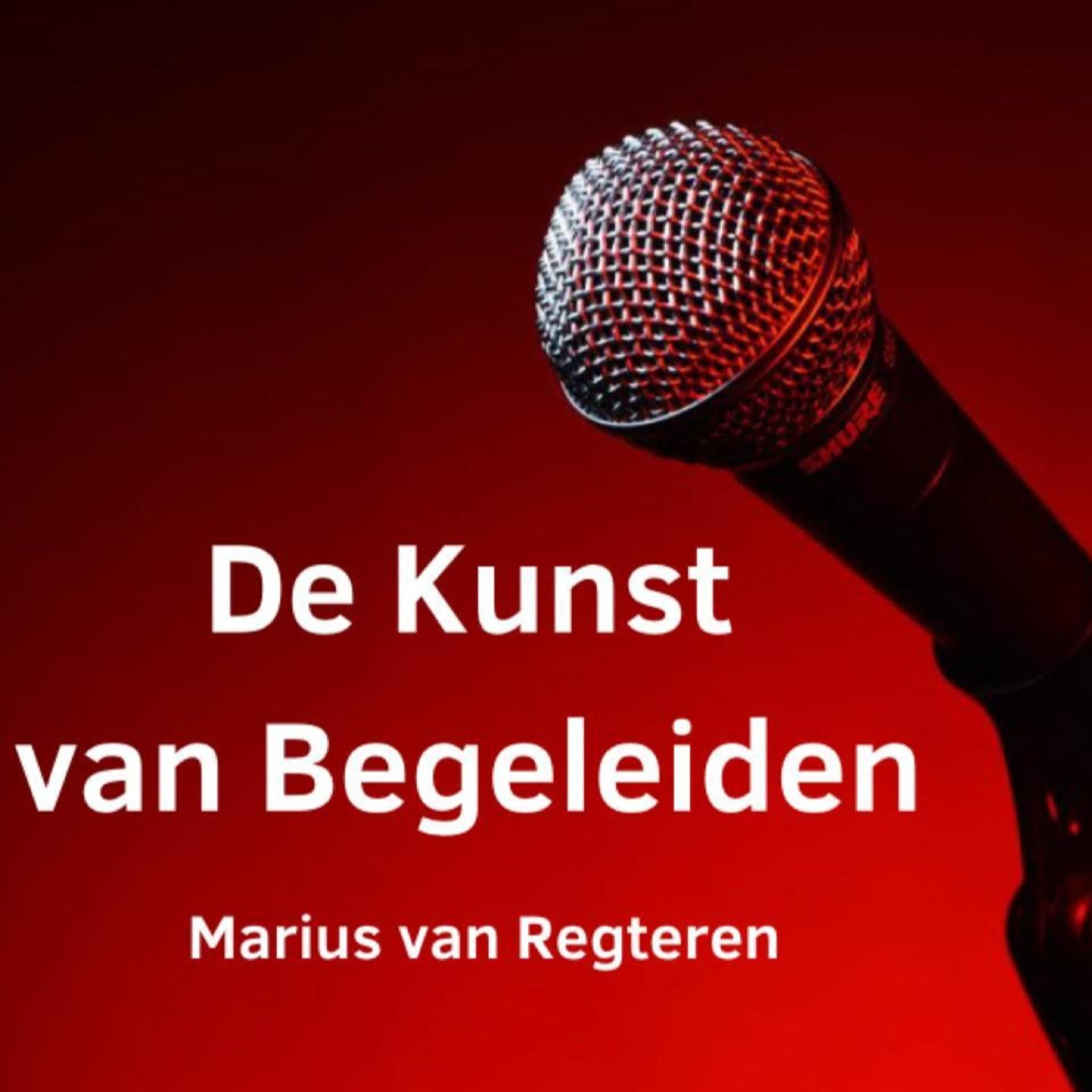 De Kunst van Begeleiden - Podcasts