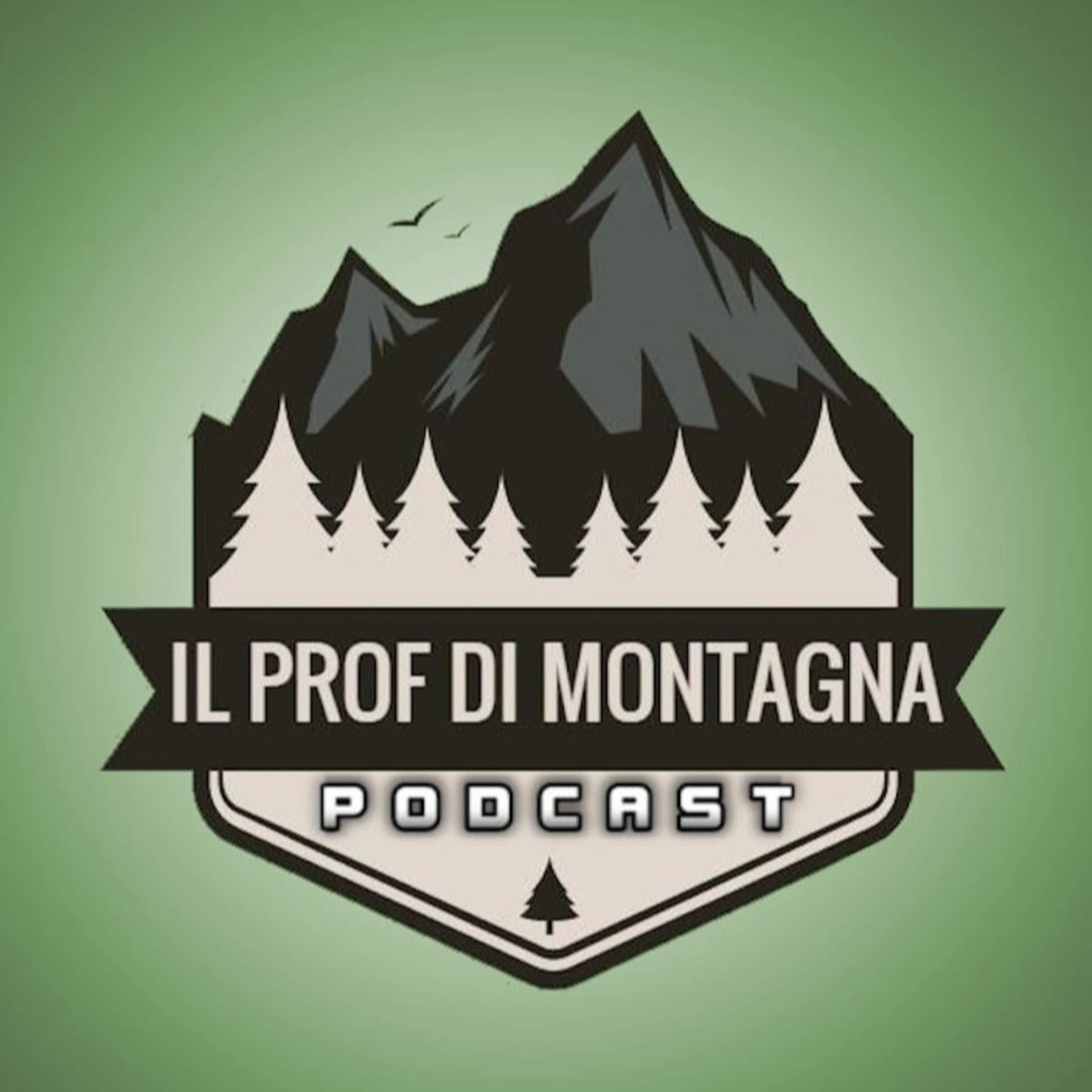 La Fisica in Tasca - Il Podcast del Prof di Montagna - Podcasts