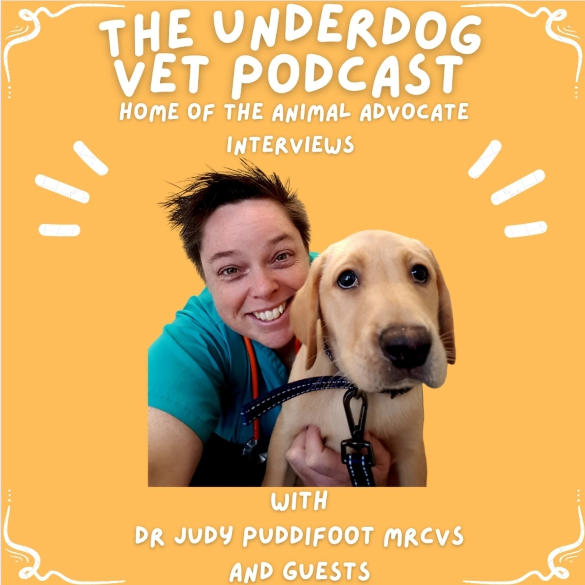 The Underdog Vet Podcast - Podcasts