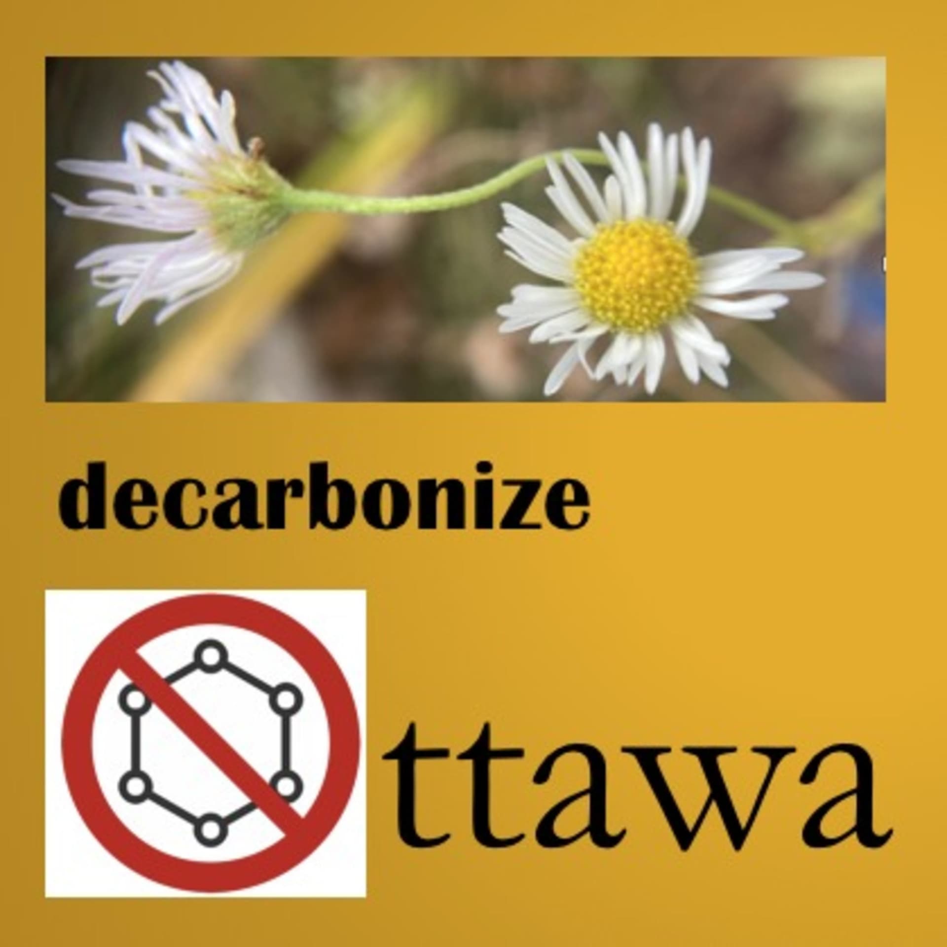 Decarbonize Ottawa - Podcasts