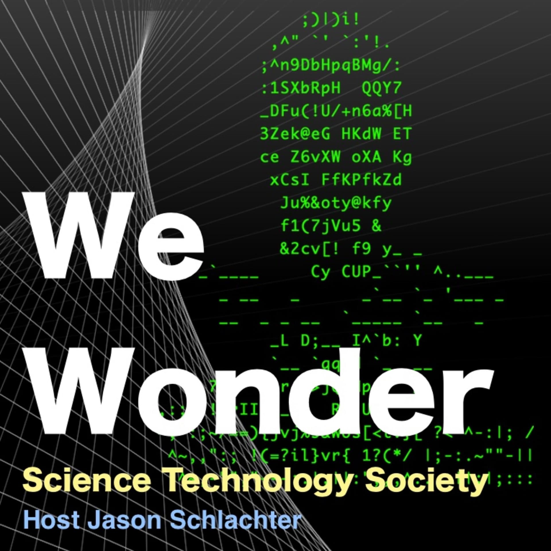 We Wonder Podcast - Podcasts