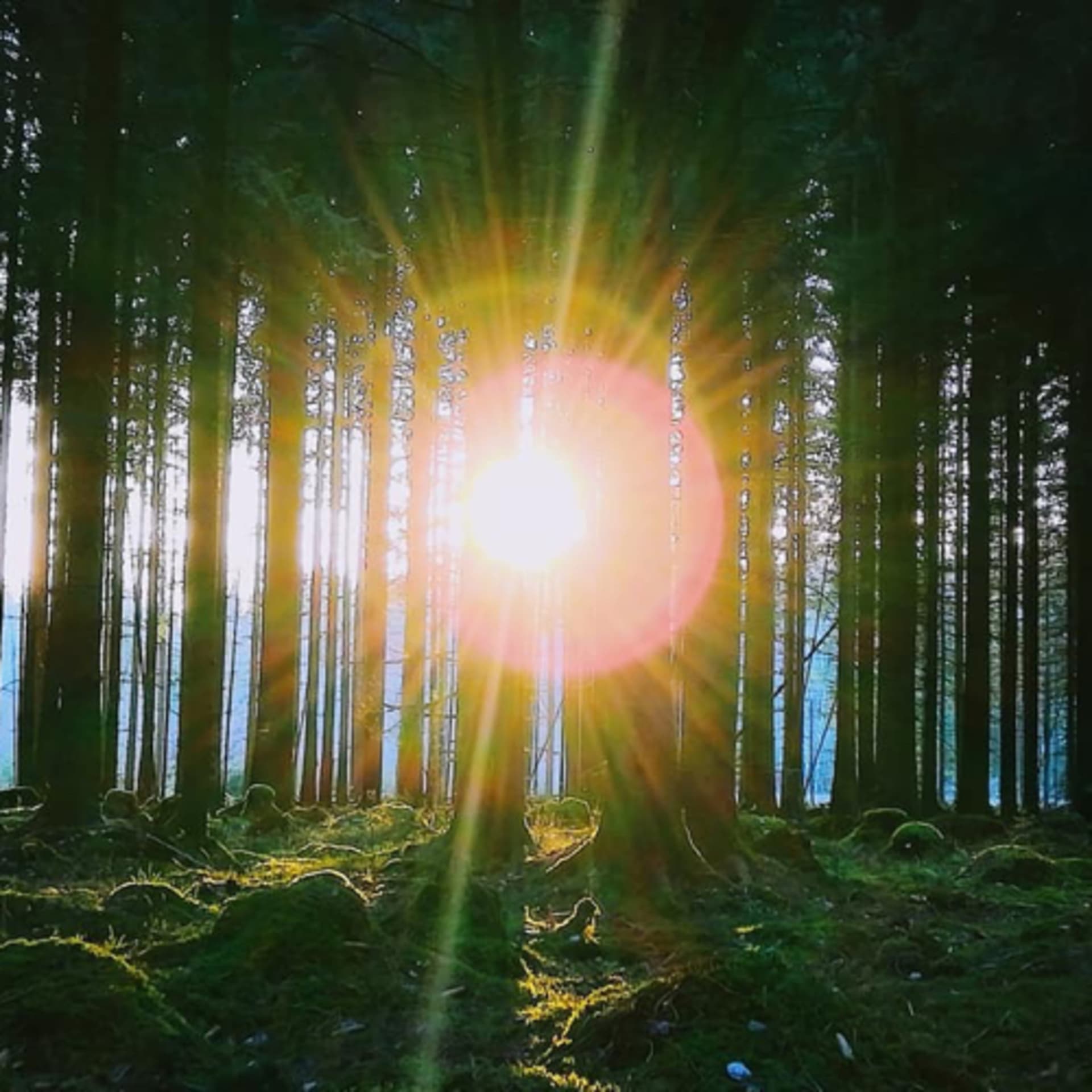 Die Reise zu Dir selbst! - Podcasts