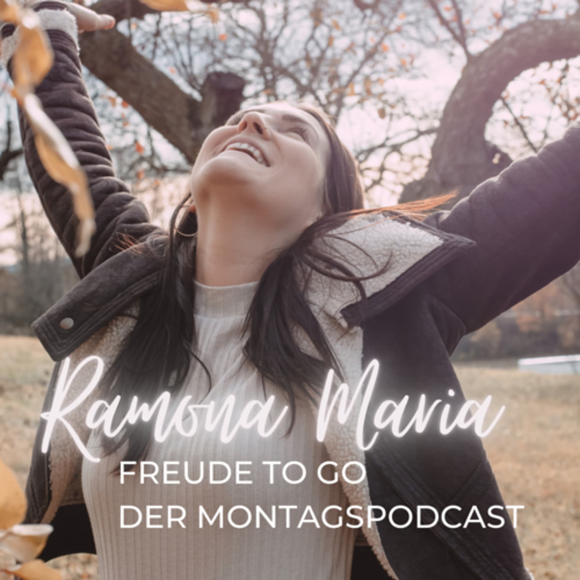 FREUDE TO GO der Montags-Podcast - Podcasts