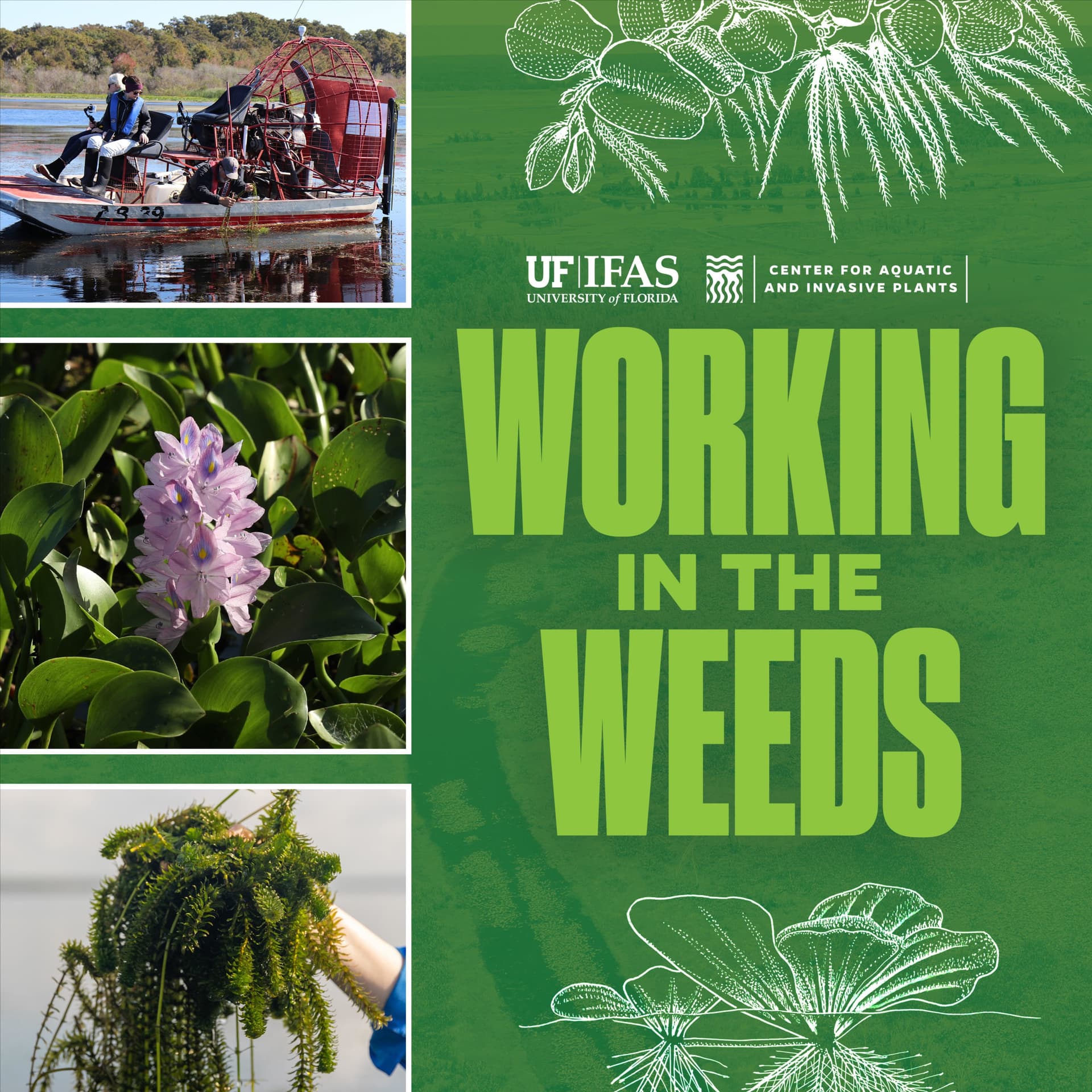 Working In The Weeds - Podcasts